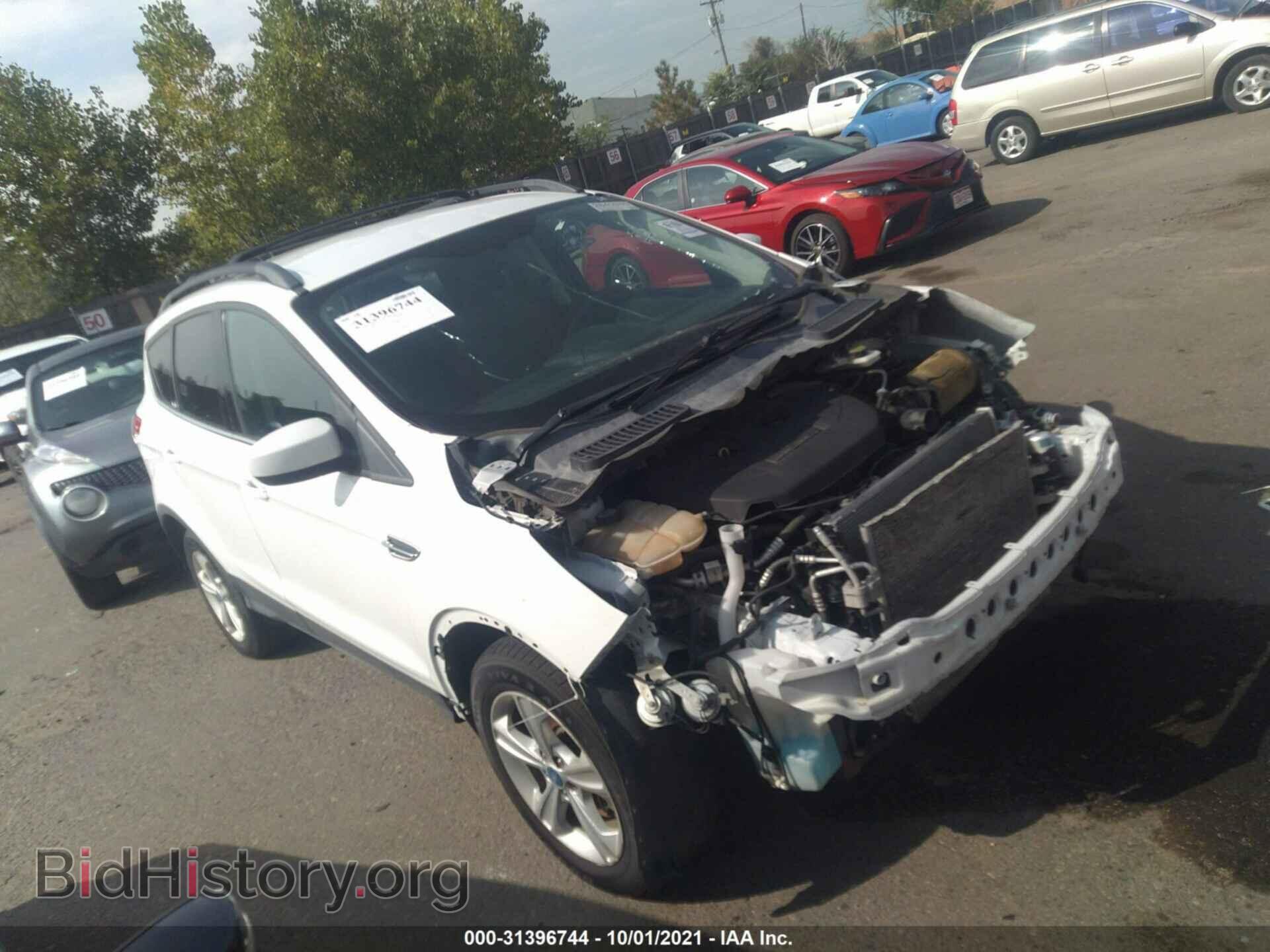 Фотография 1FMCU9G96DUA25991 - FORD ESCAPE 2013