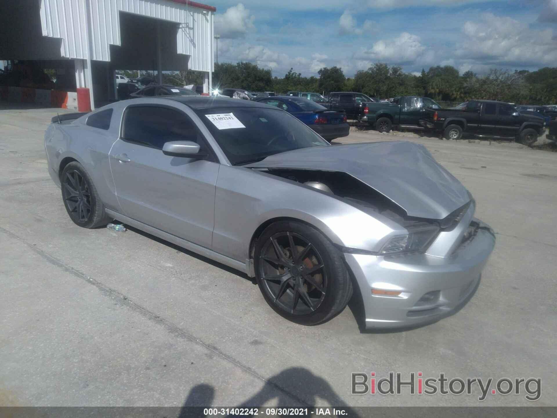 Photo 1ZVBP8AM2E5209932 - FORD MUSTANG 2014