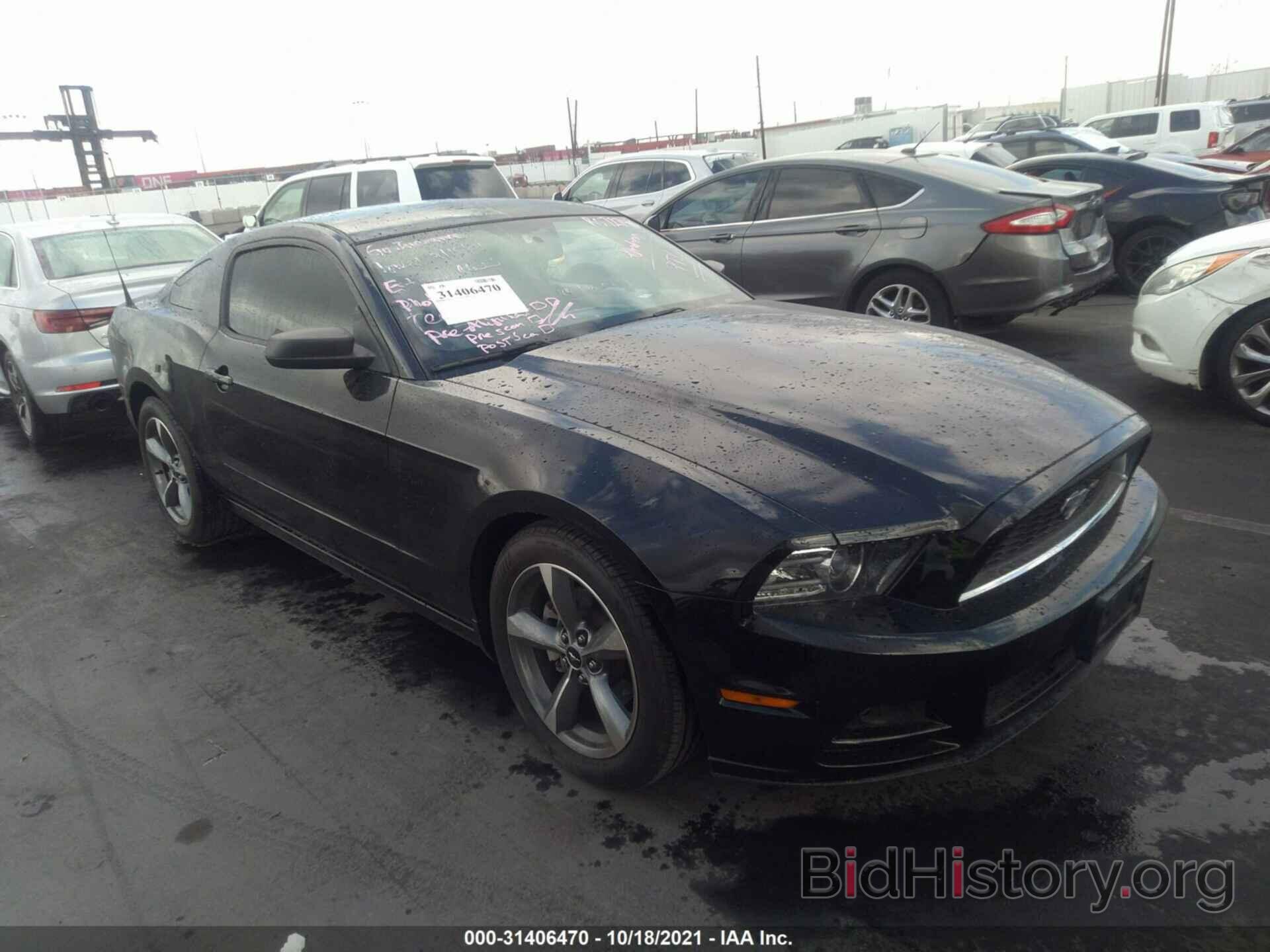 Photo 1ZVBP8AM7D5249843 - FORD MUSTANG 2013