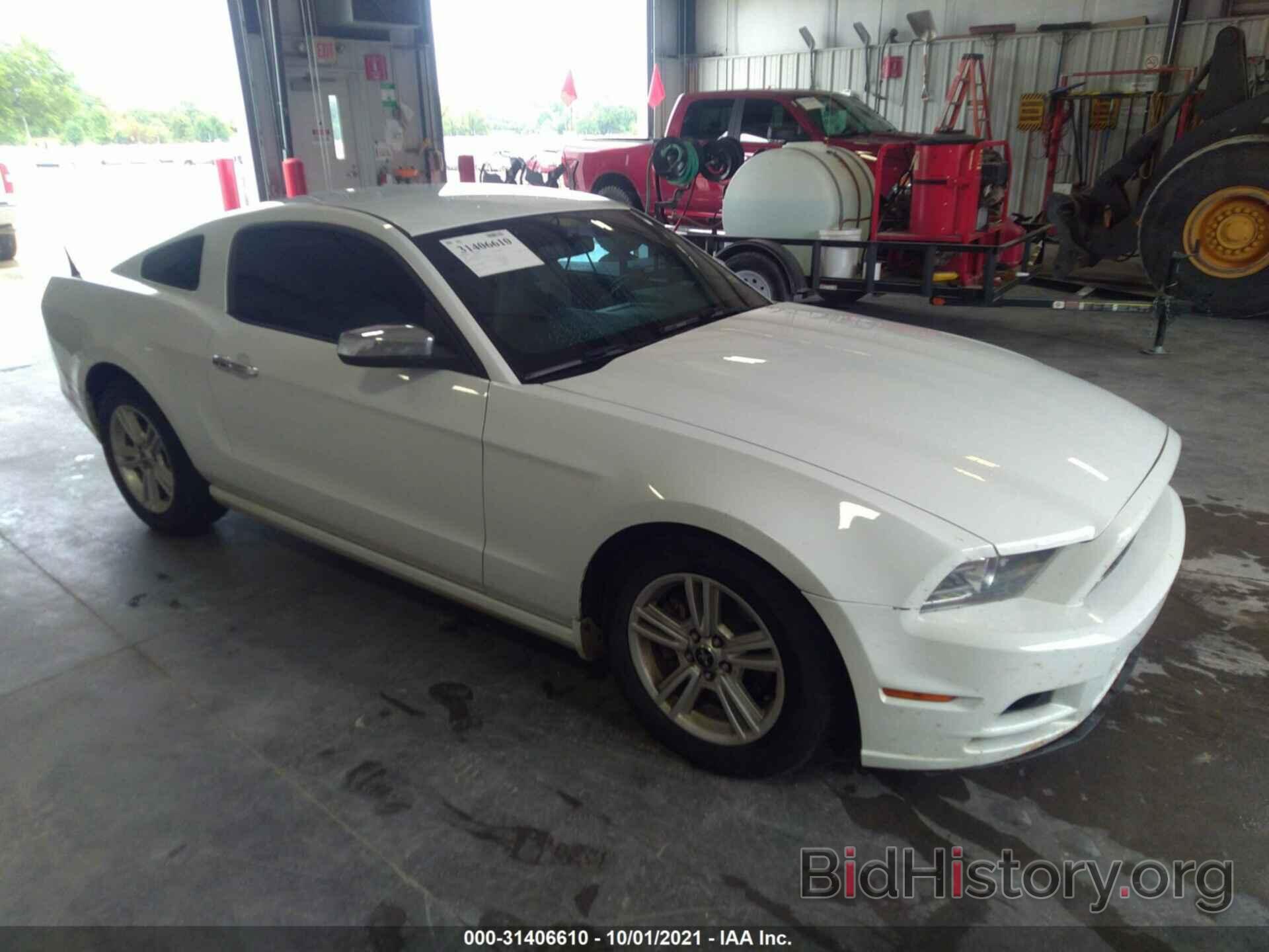 Photo 1ZVBP8AM9E5276625 - FORD MUSTANG 2014