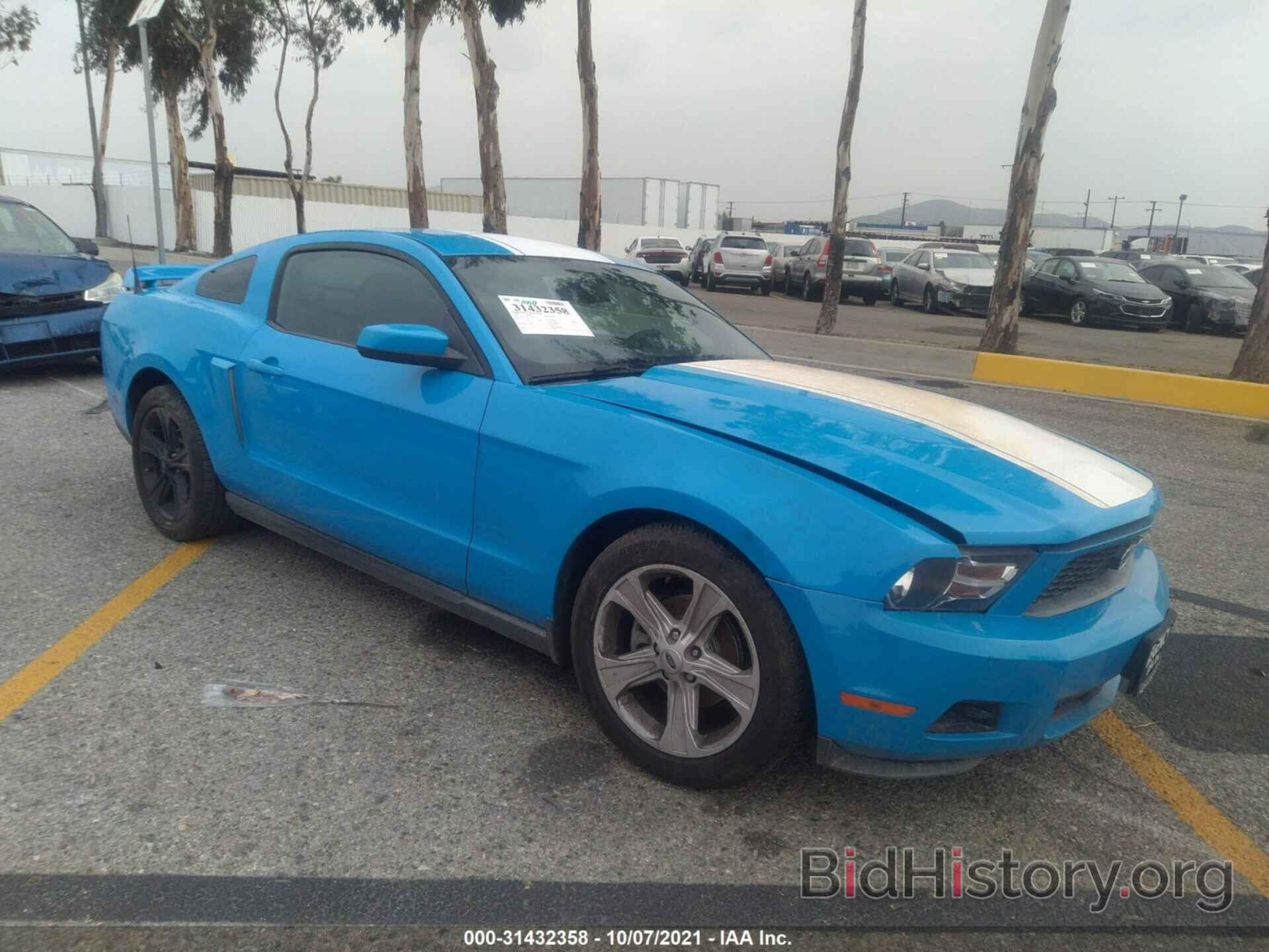 Photo 1ZVBP8AN4A5136839 - FORD MUSTANG 2010