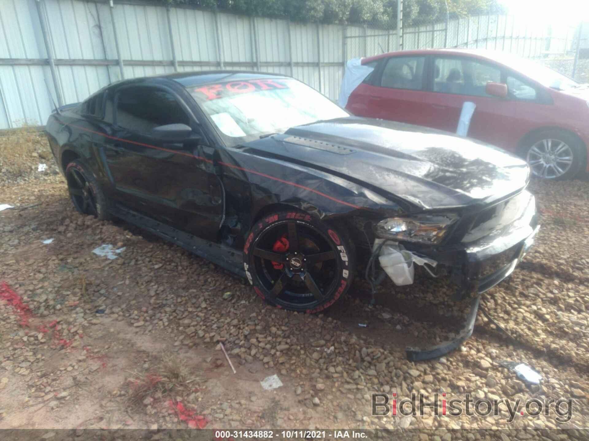 Photo 1ZVBP8AN3A5120552 - FORD MUSTANG 2010
