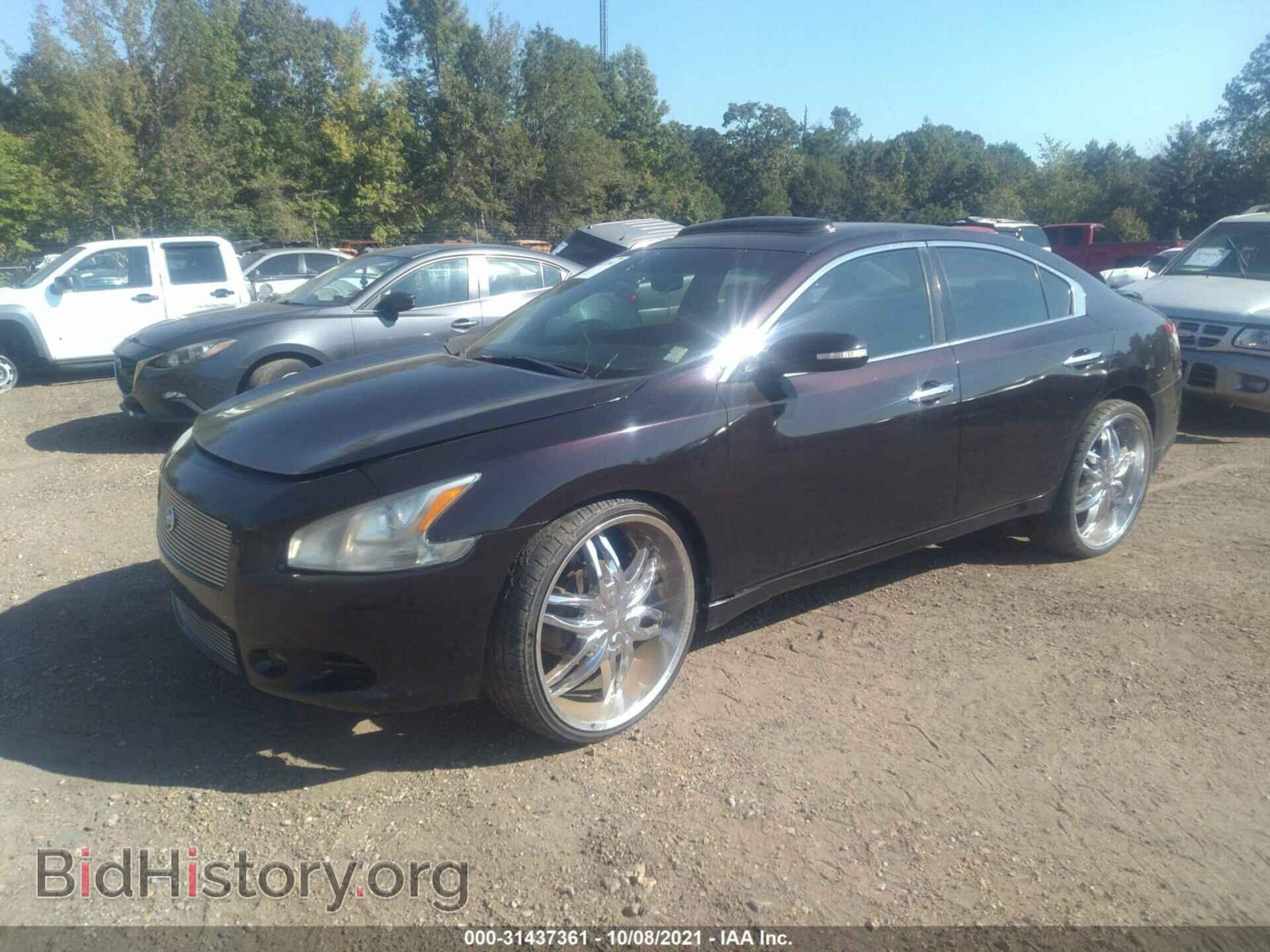 2010 NISSAN MAXIMA - VIN: 1N4AA5AP3AC839057 - Фото 2