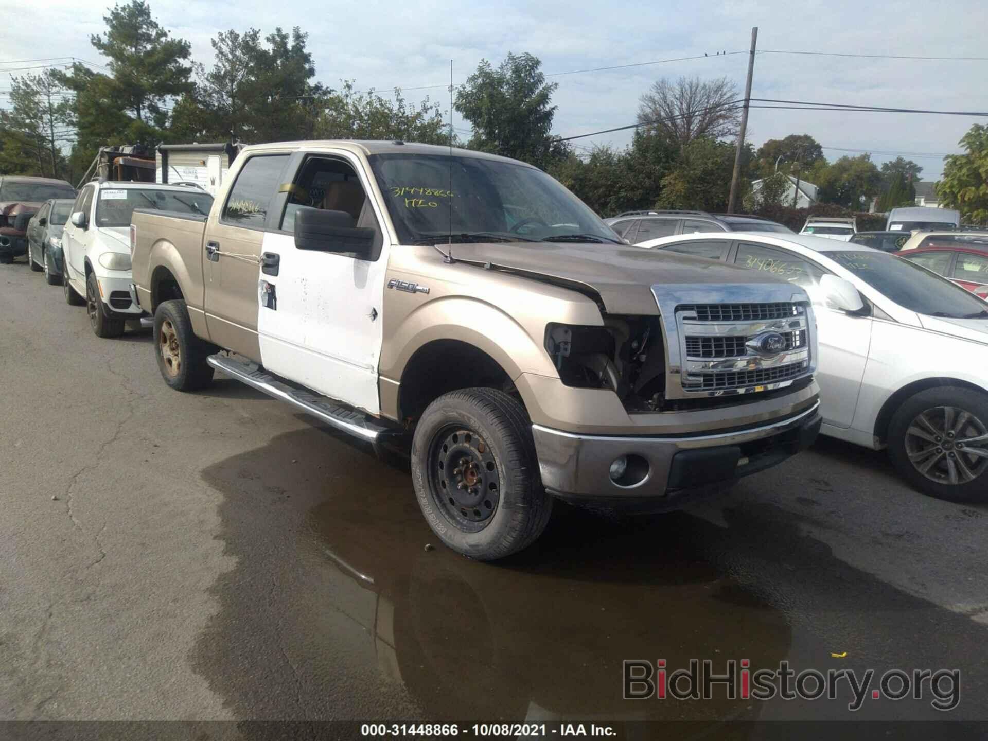 Photo 1FTEW1CM6DFB64820 - FORD F-150 2013