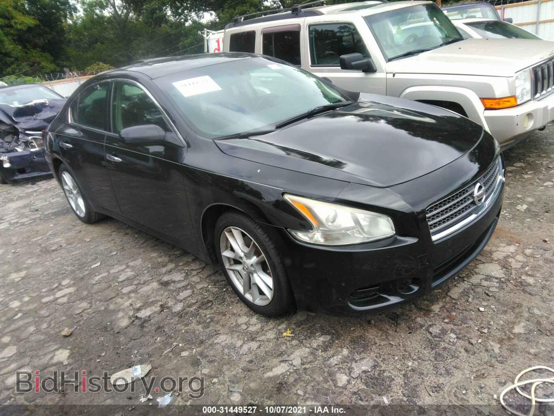 Photo 1N4AA5AP7BC842481 - NISSAN MAXIMA 2011