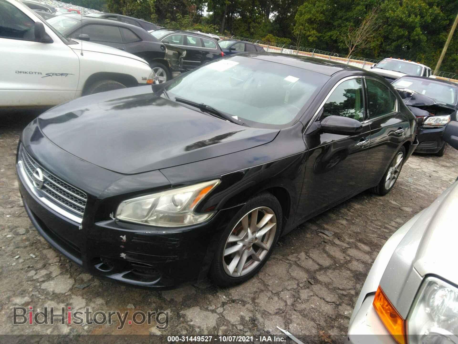 2011 NISSAN MAXIMA - VIN: 1N4AA5AP7BC842481 - Фото 2