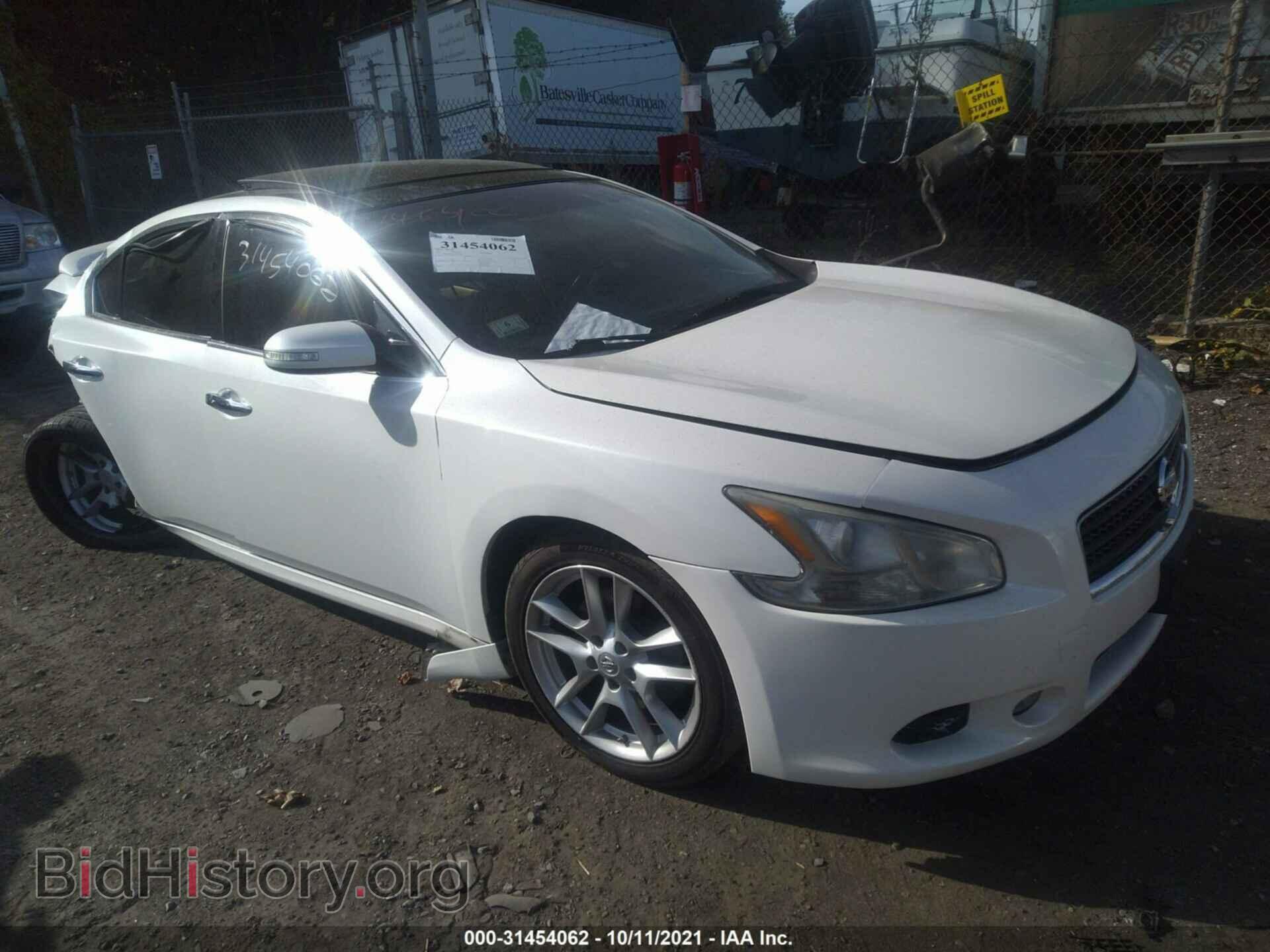 Фотография 1N4AA5AP4BC859402 - NISSAN MAXIMA 2011