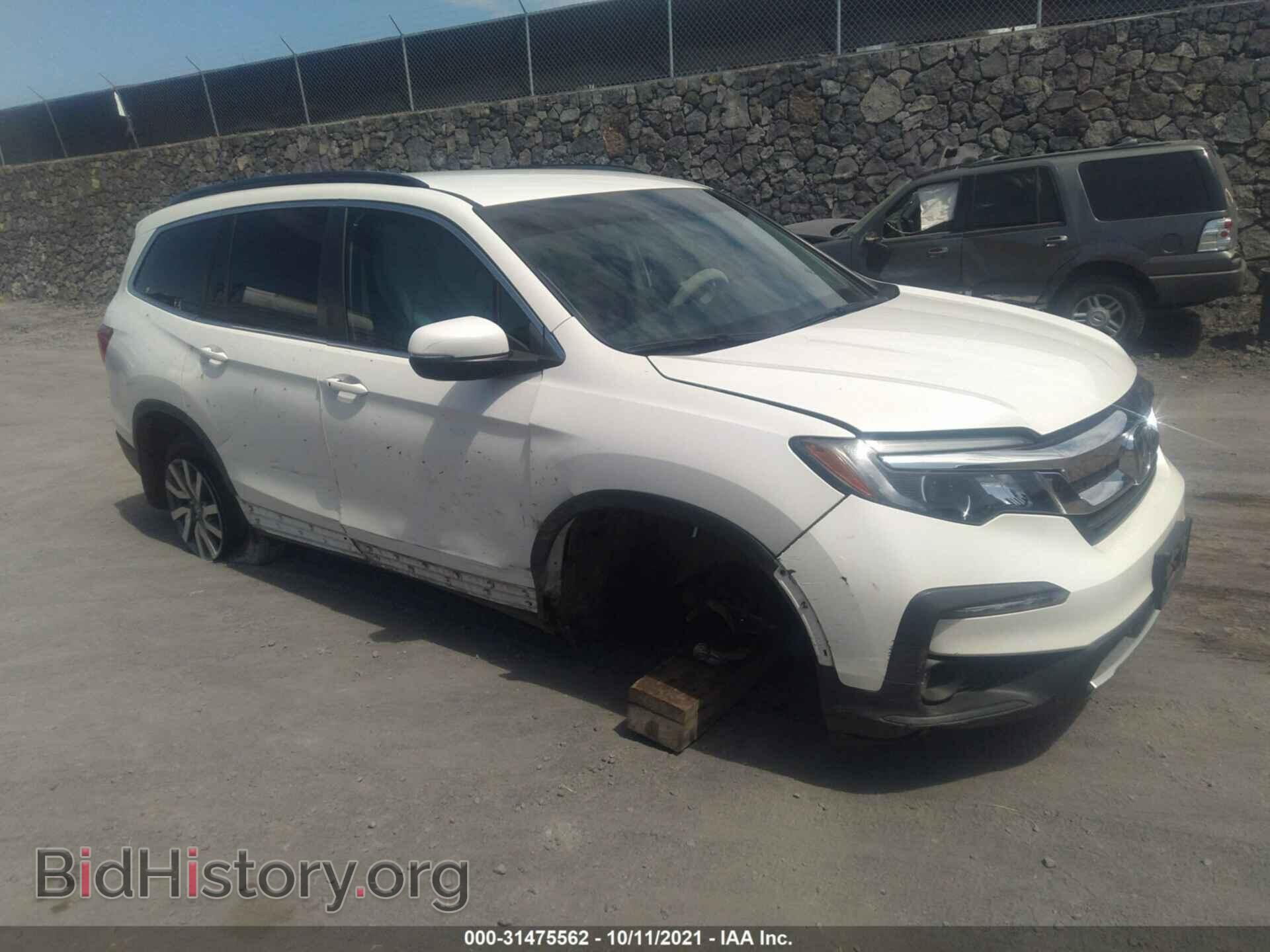 Photo 5FNYF6H31KB039557 - HONDA PILOT 2019