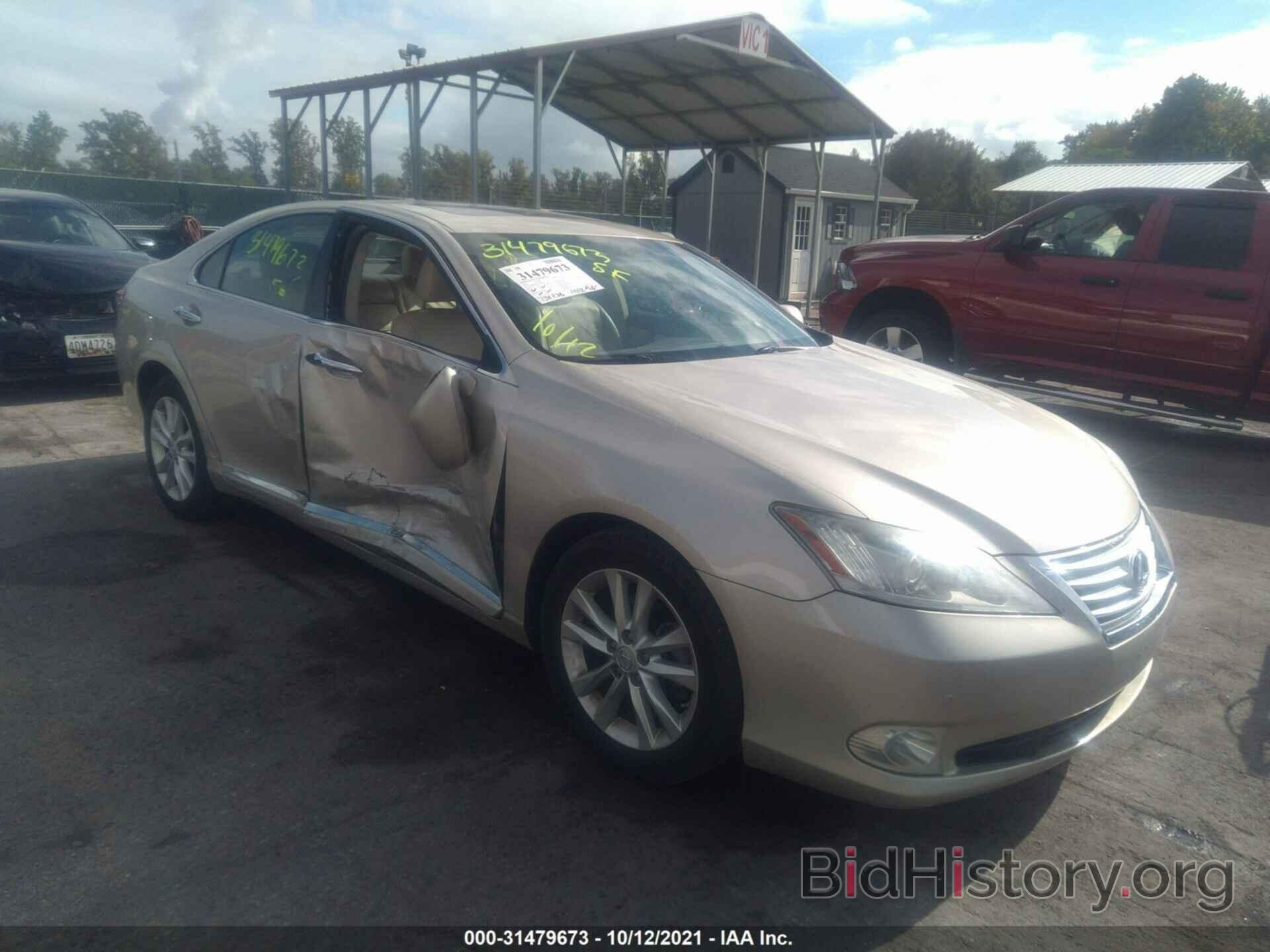 Фотография JTHBK1EG5A2407573 - LEXUS ES 350 2010