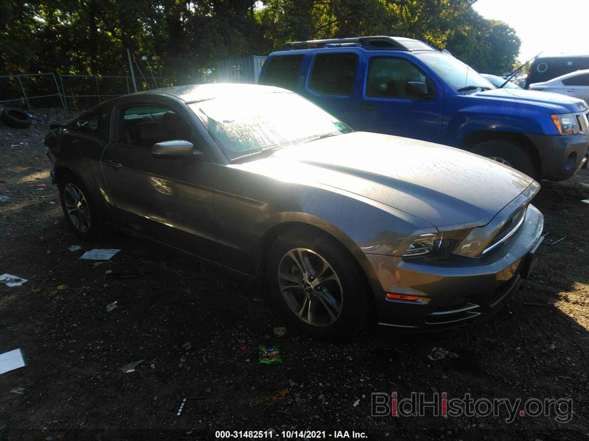 Photo 1ZVBP8AM7E5276199 - FORD MUSTANG 2014