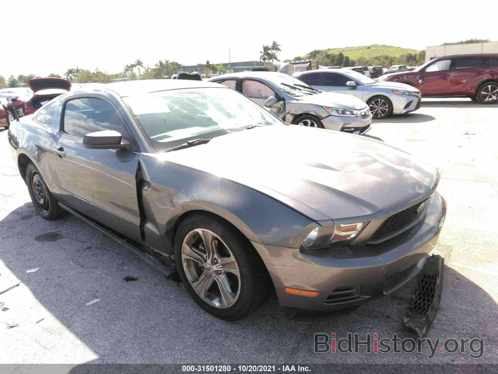 Photo 1ZVBP8AN9A5135010 - FORD MUSTANG 2010