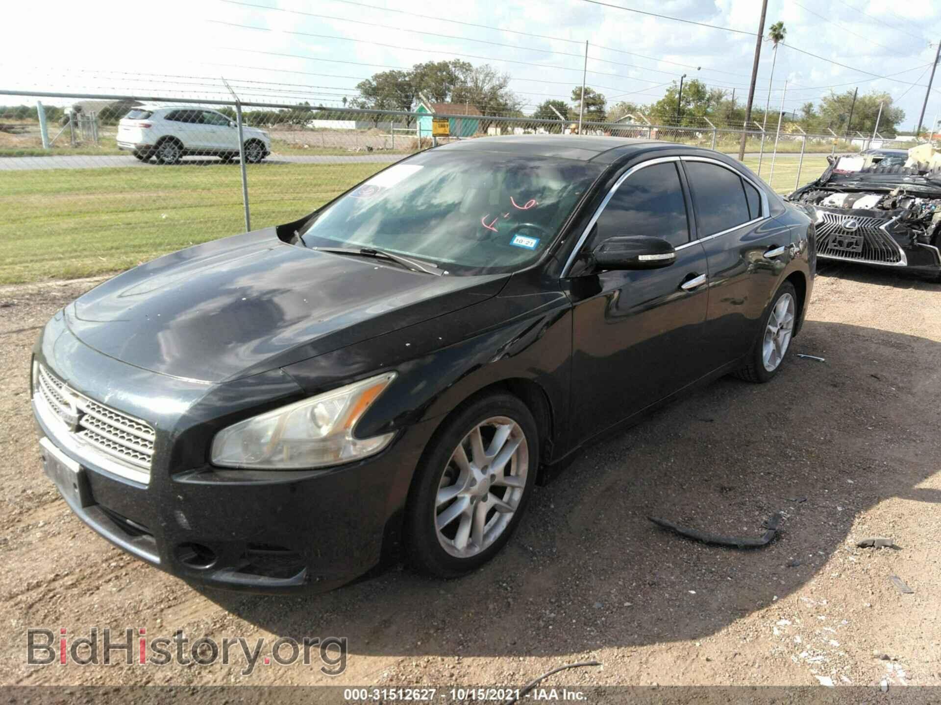 2010 NISSAN MAXIMA - VIN: 1N4AA5AP0AC824791 - Фото 2