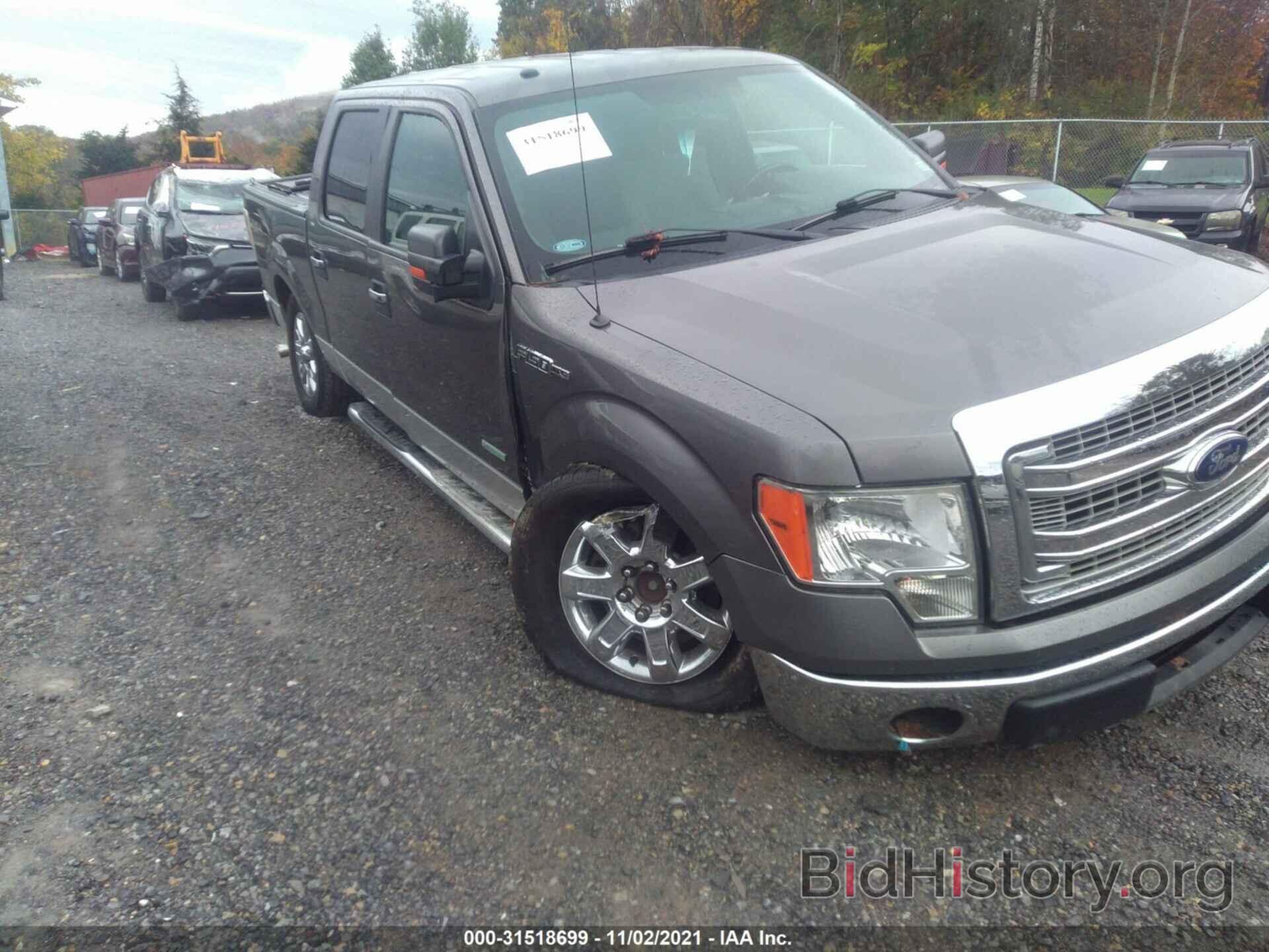 Photo 1FTFW1ET1DKG15670 - FORD F-150 2013
