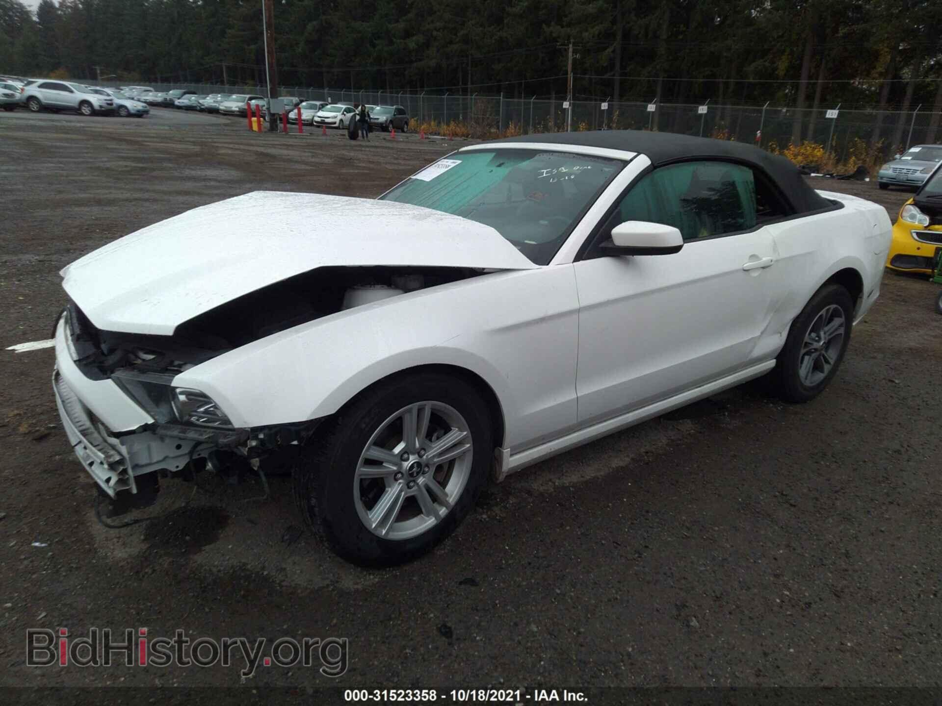 2013 FORD MUSTANG - VIN: 1ZVBP8EM8D5245231 - Фото 2