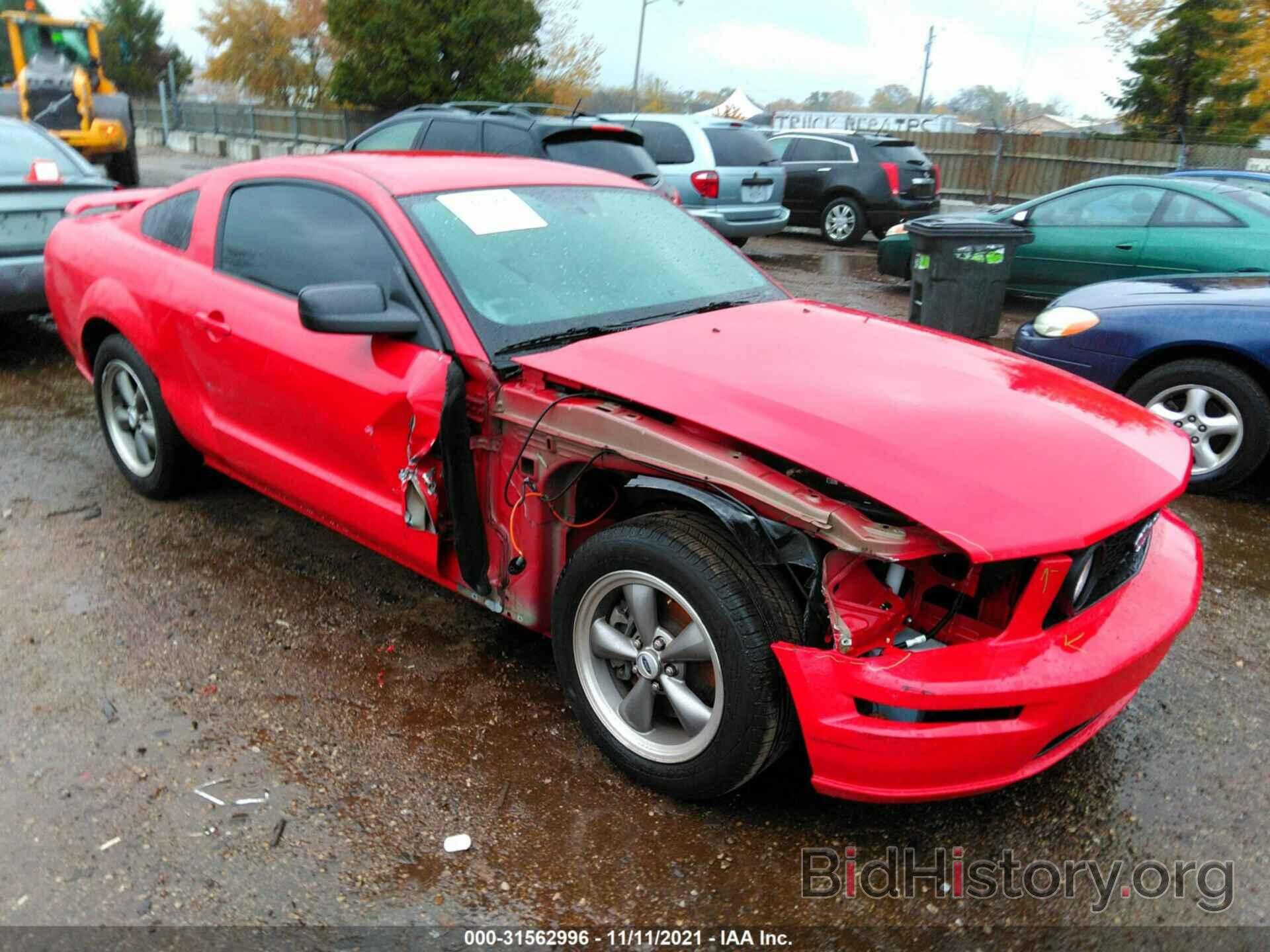 Photo 1ZVHT82H565243498 - FORD MUSTANG 2006