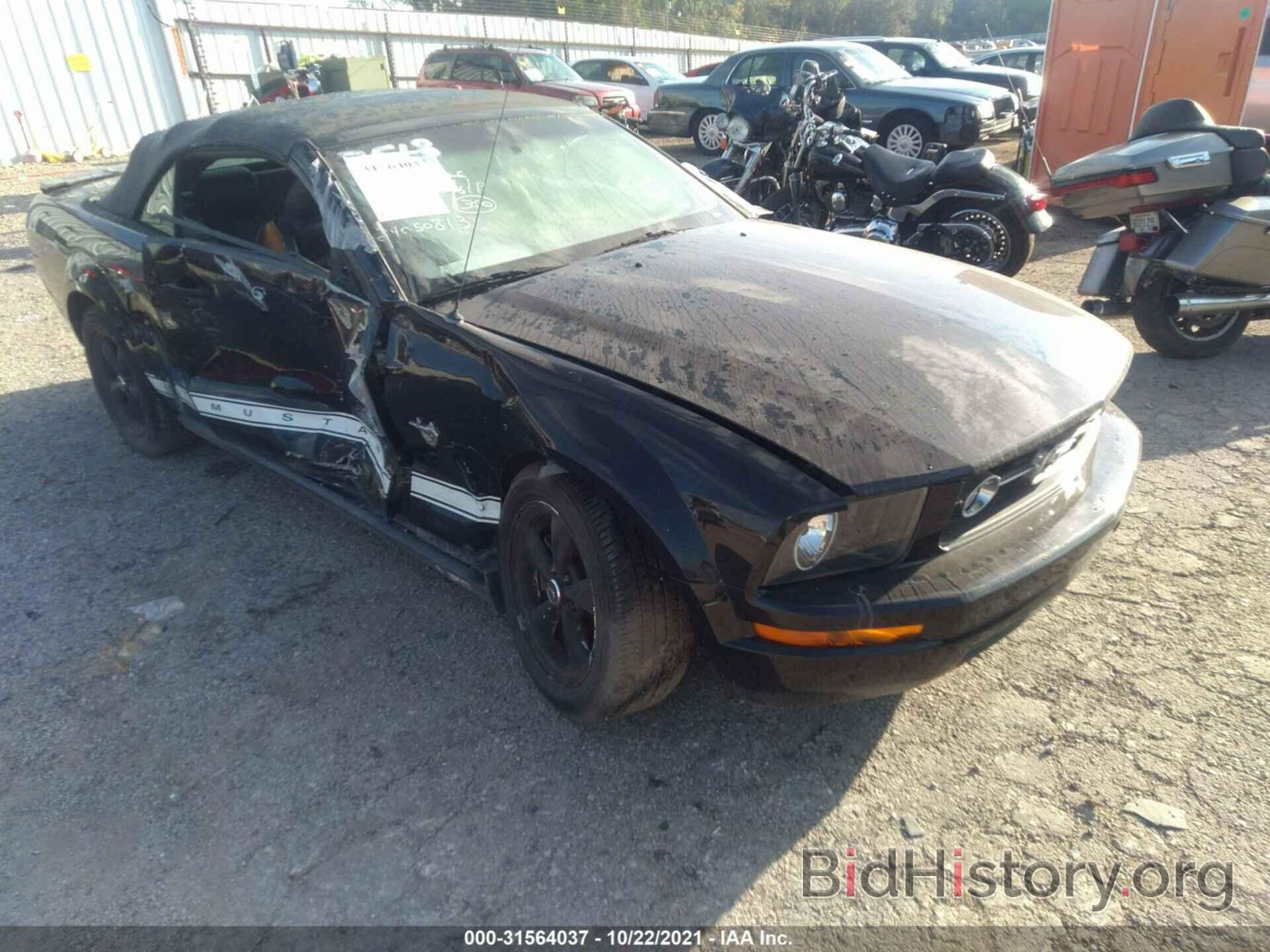 Photo 1ZVHT84N895143936 - FORD MUSTANG 2009