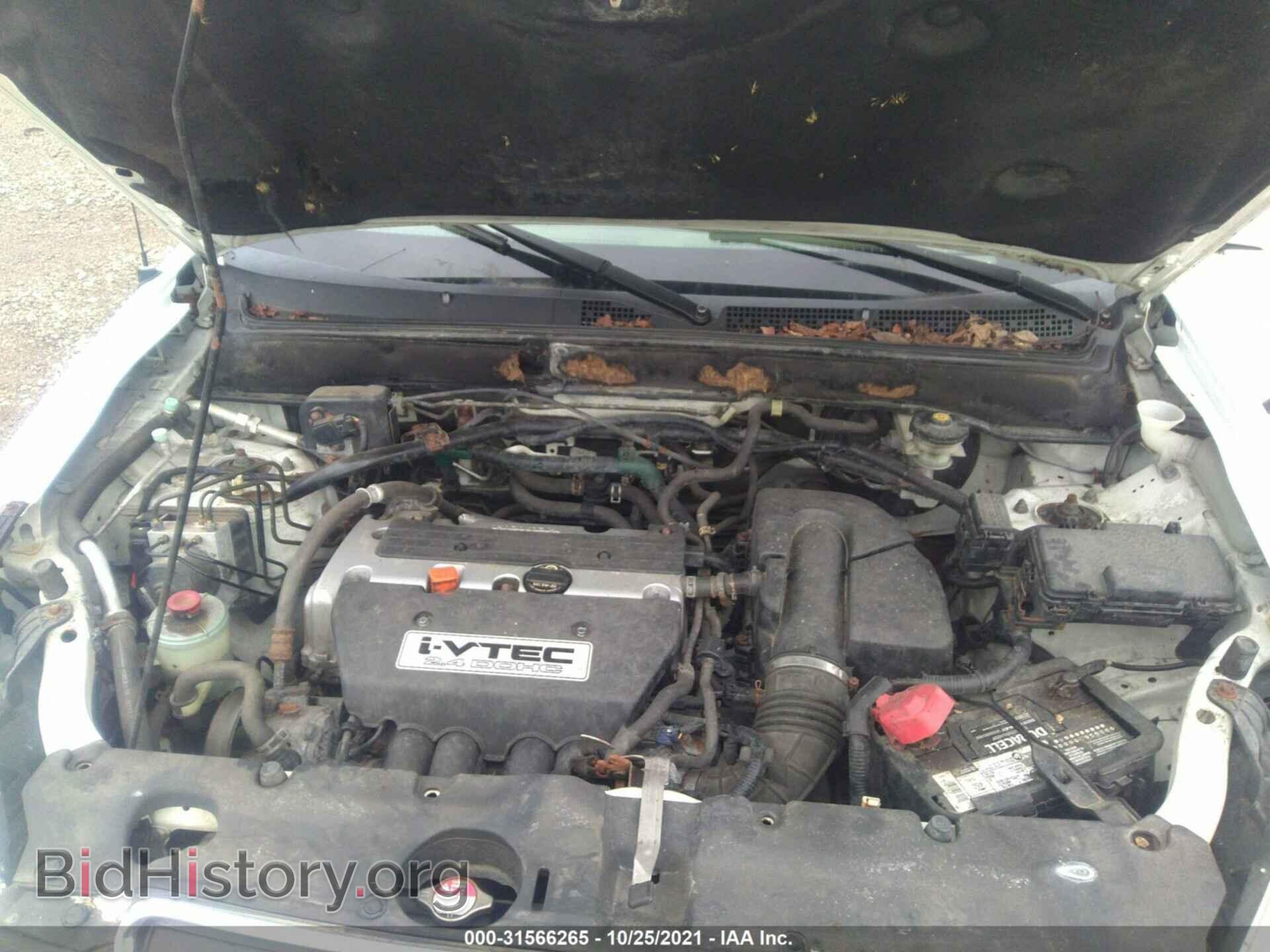 2006 HONDA CR-V - VIN: JHLRD78856C053687 - Фото 10
