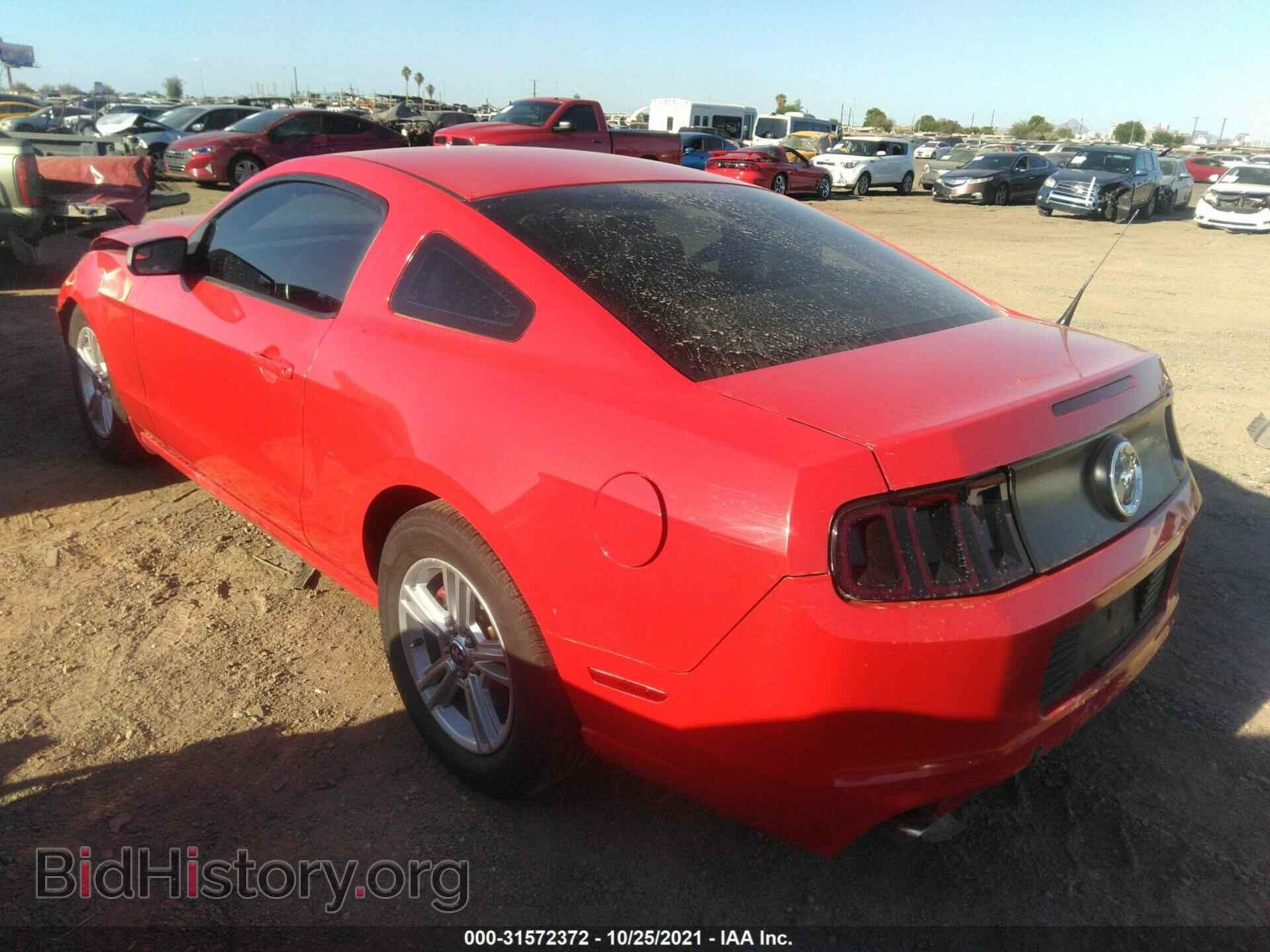 2014 FORD MUSTANG - VIN: 1ZVBP8AM5E5217197 - Фото 3
