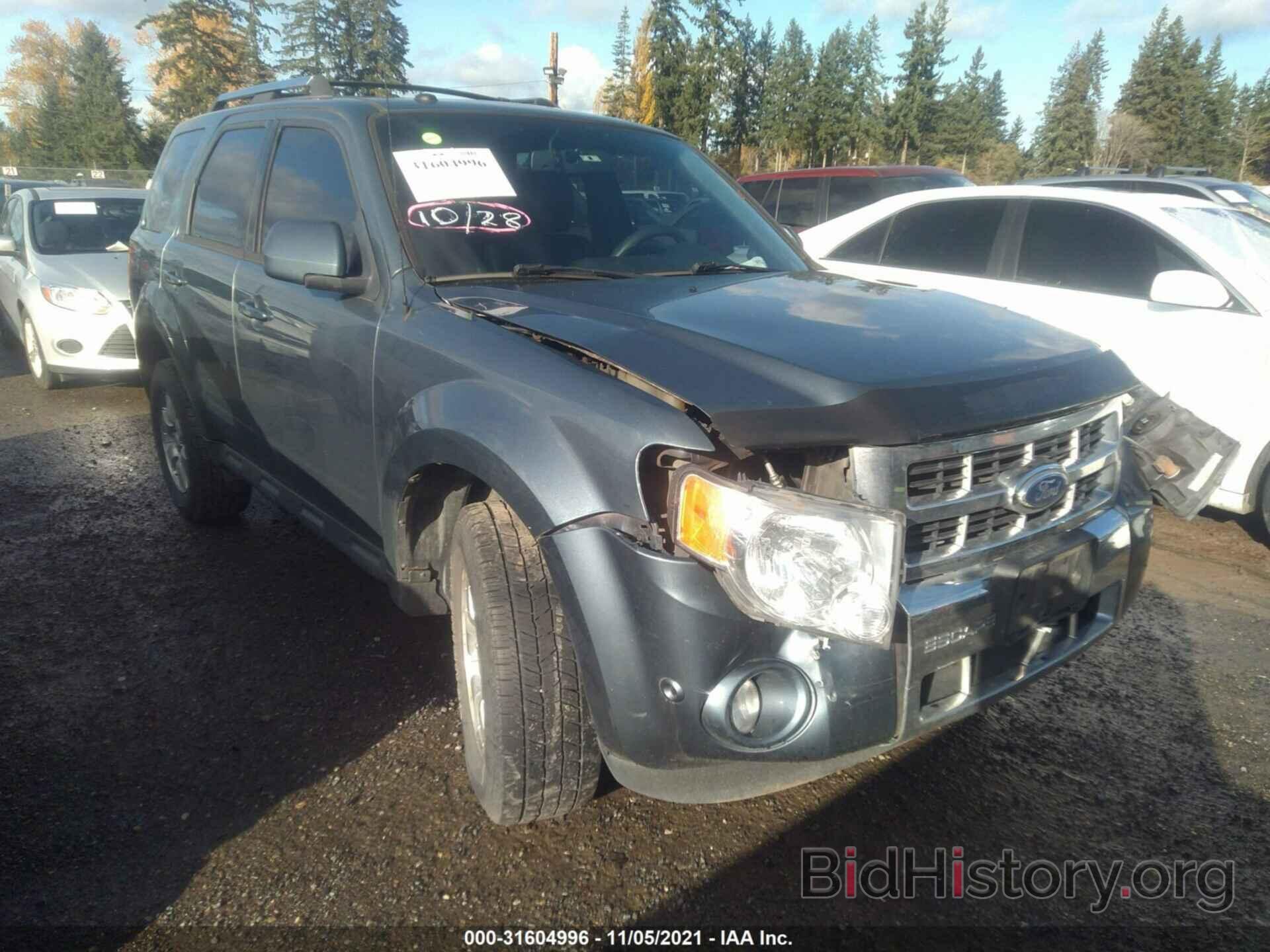 Photo 1FMCU9EG0AKC89233 - FORD ESCAPE 2010