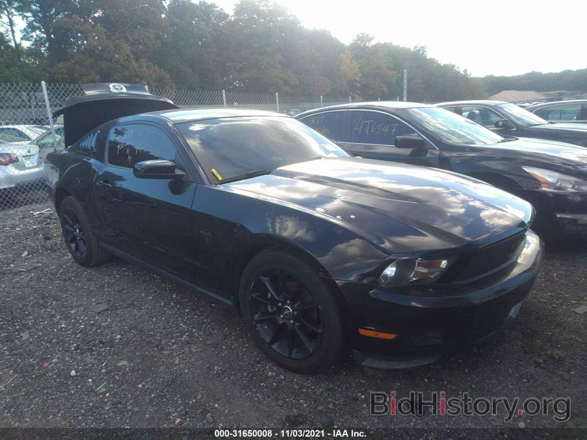 Photo 1ZVBP8AN9A5177192 - FORD MUSTANG 2010