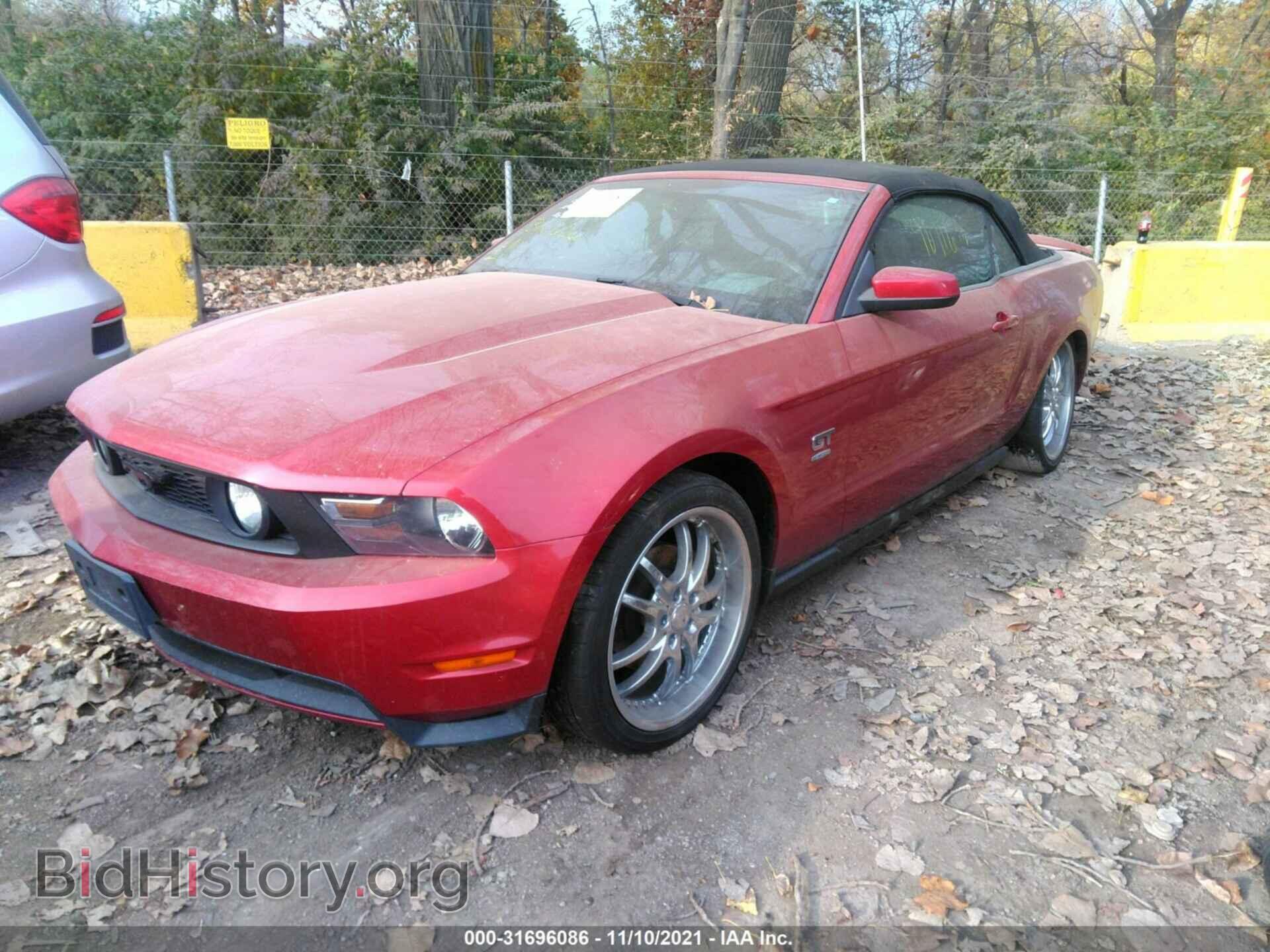 2010 FORD MUSTANG - VIN: 1ZVBP8FH1A5140656 - Фото 2