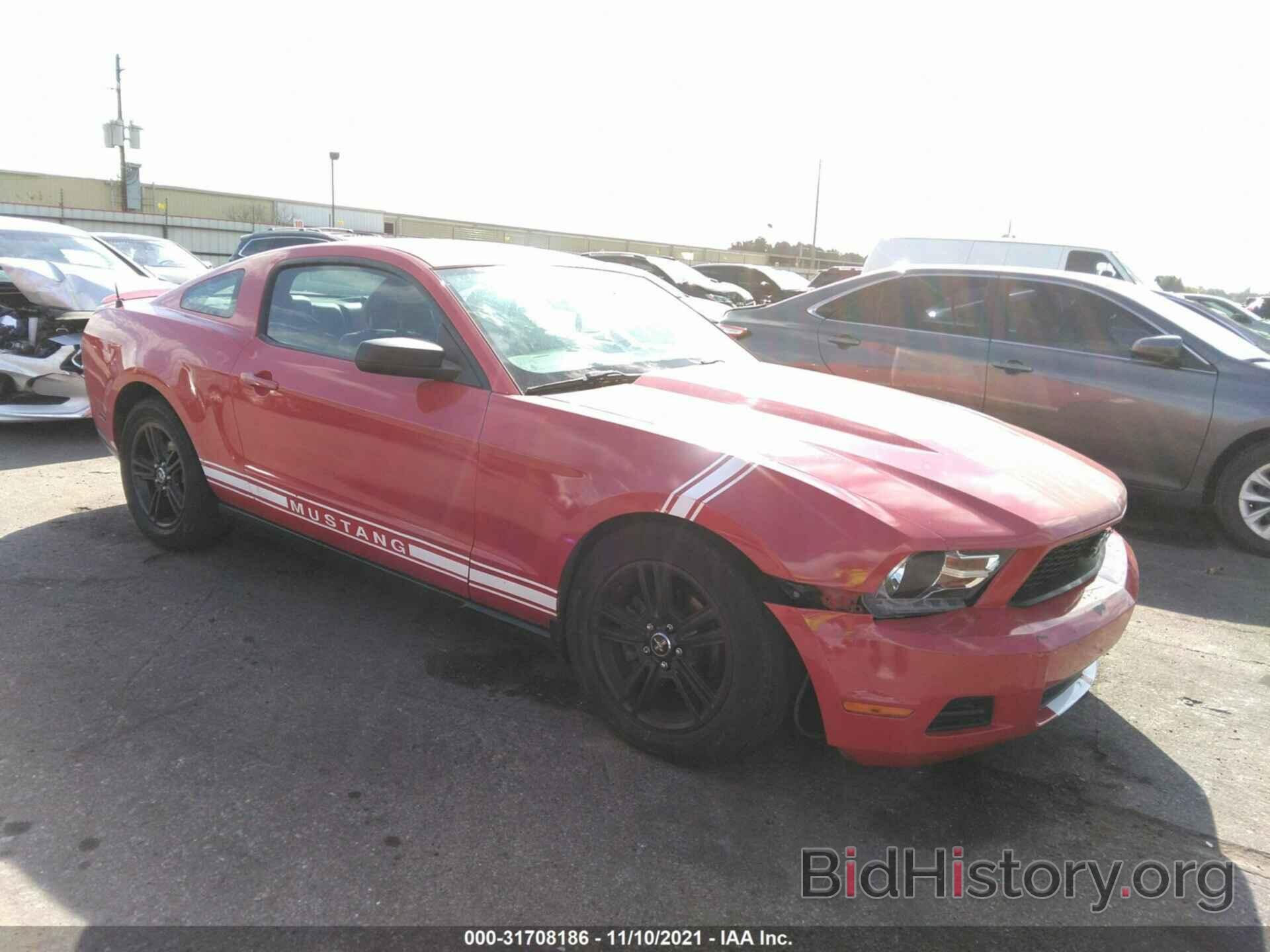 Photo 1ZVBP8AN1A5169880 - FORD MUSTANG 2010