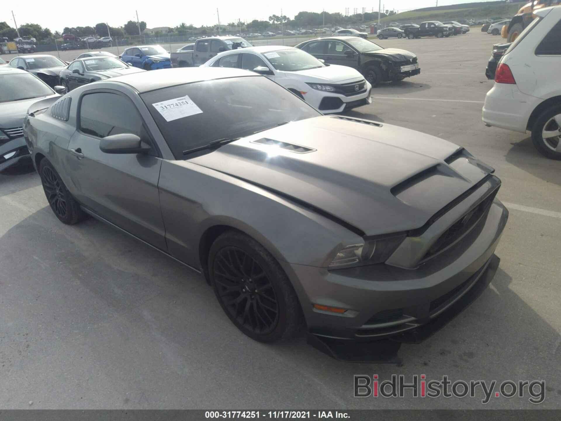 Photo 1ZVBP8AM7E5282990 - FORD MUSTANG 2014