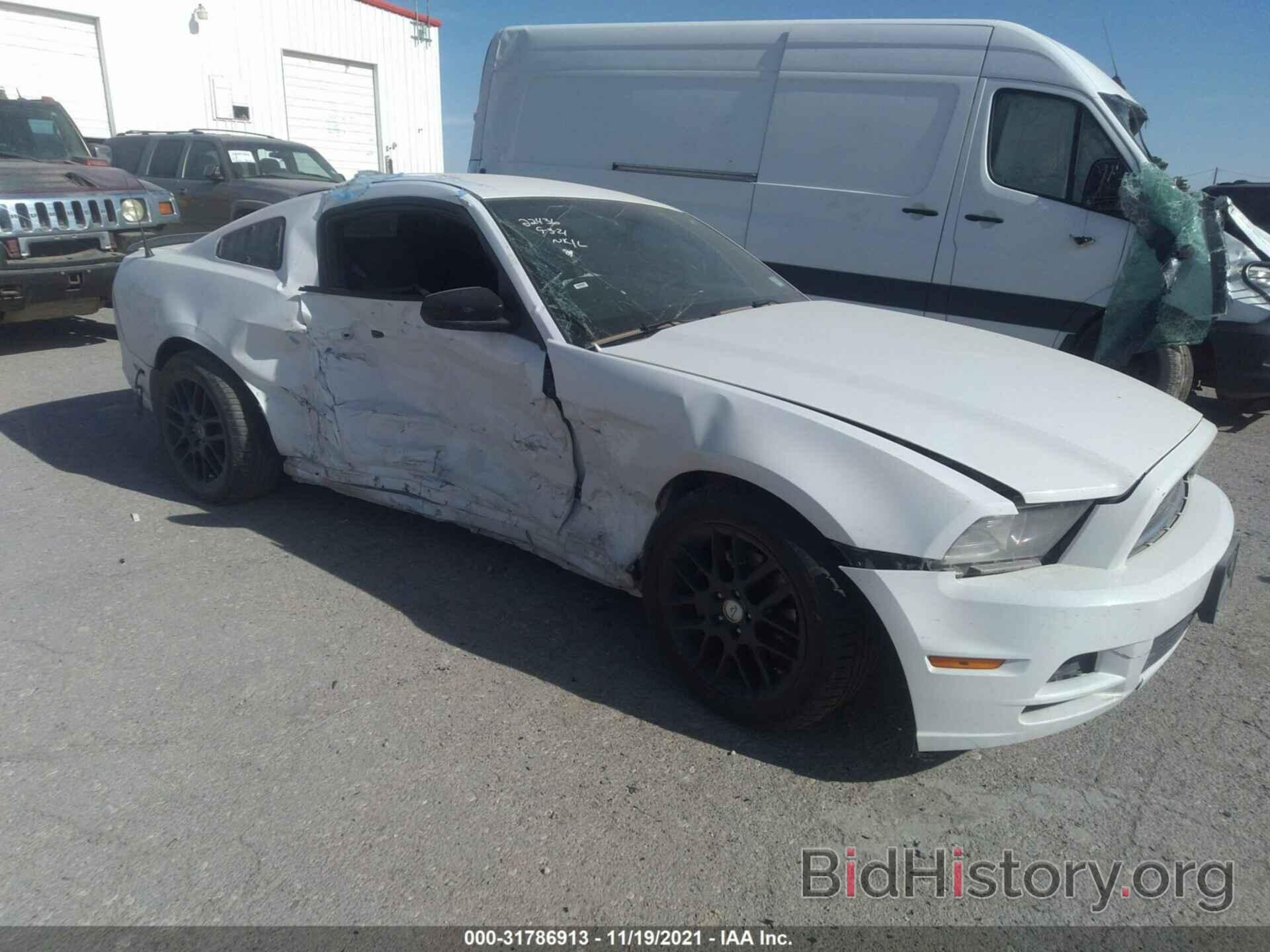 Photo 1ZVBP8AM3E5301681 - FORD MUSTANG 2014