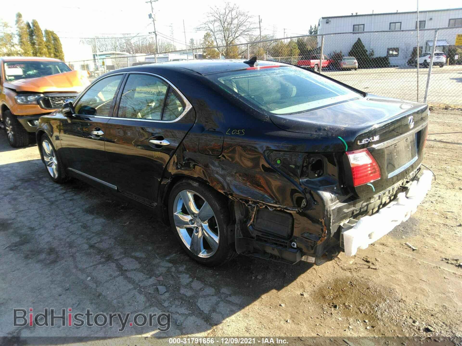 2010 LEXUS LS 460 - VIN: JTHBL5EF5A5100995 - Фото 3