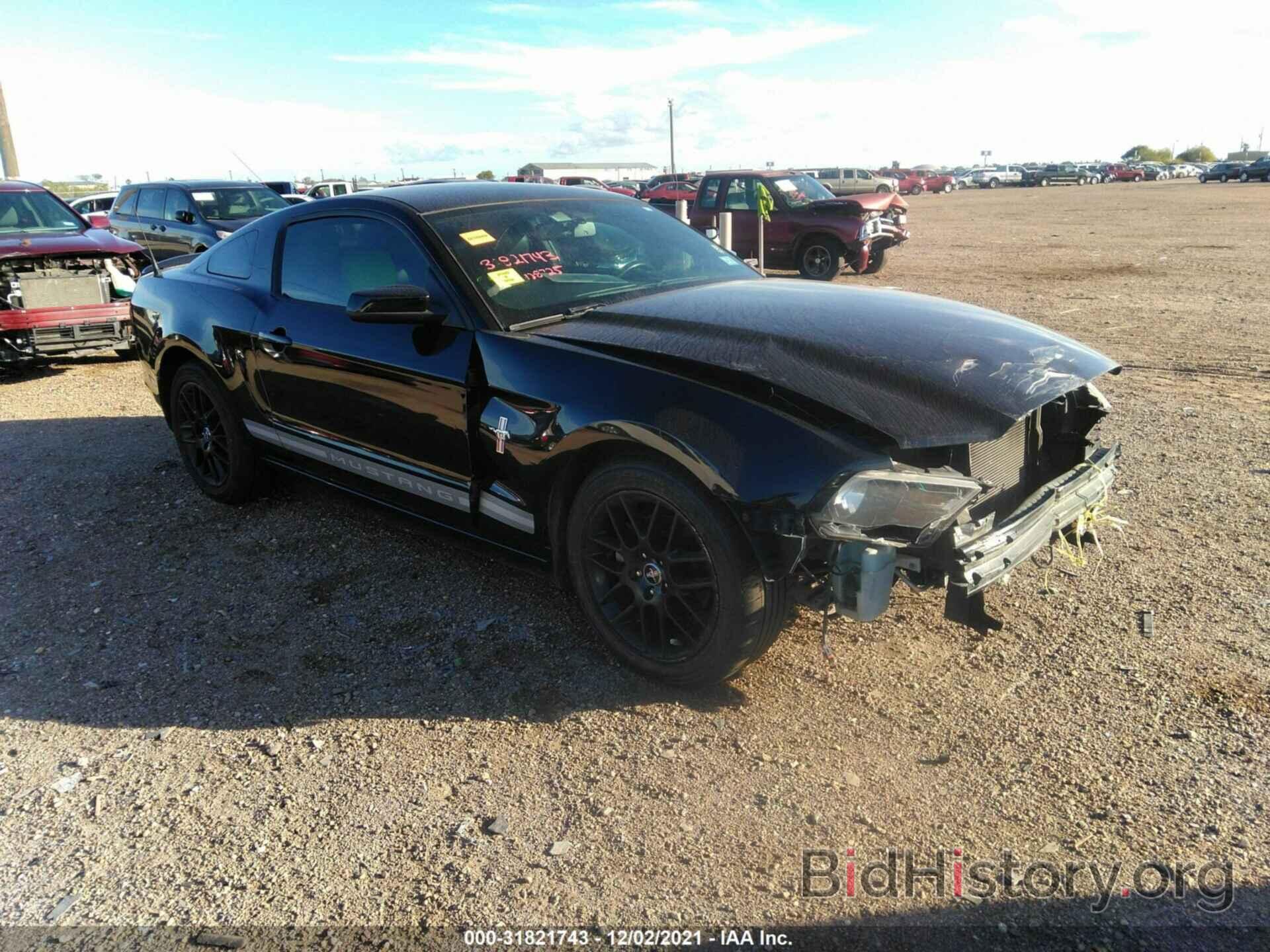 Photo 1ZVBP8AM9D5216035 - FORD MUSTANG 2013