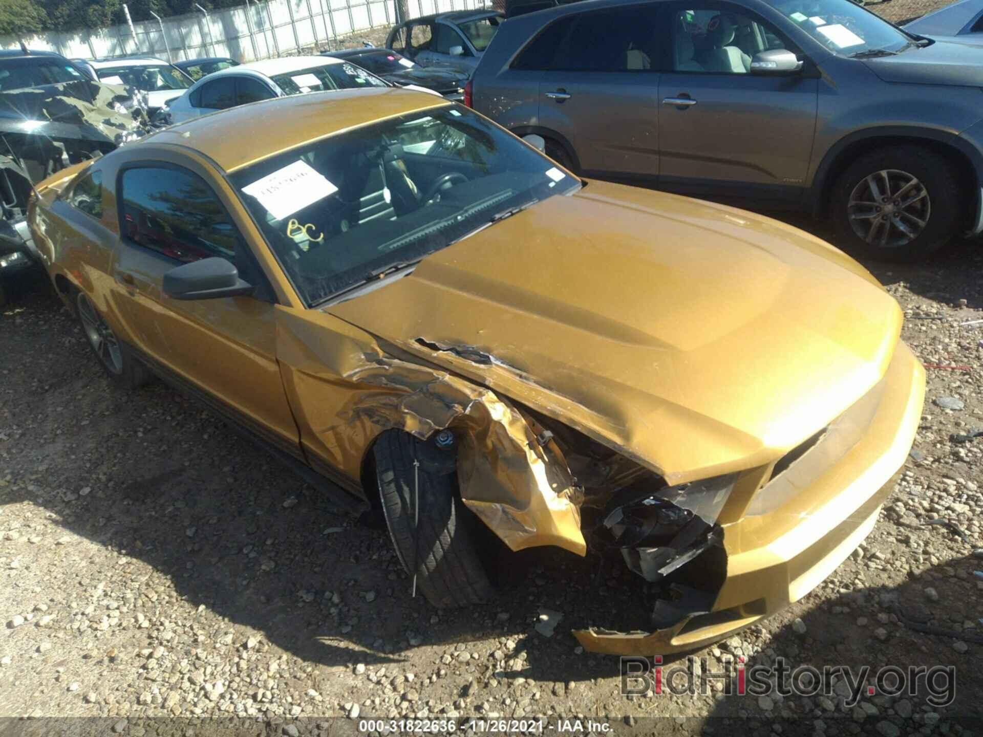 Photo 1ZVBP8AN6A5137488 - FORD MUSTANG 2010