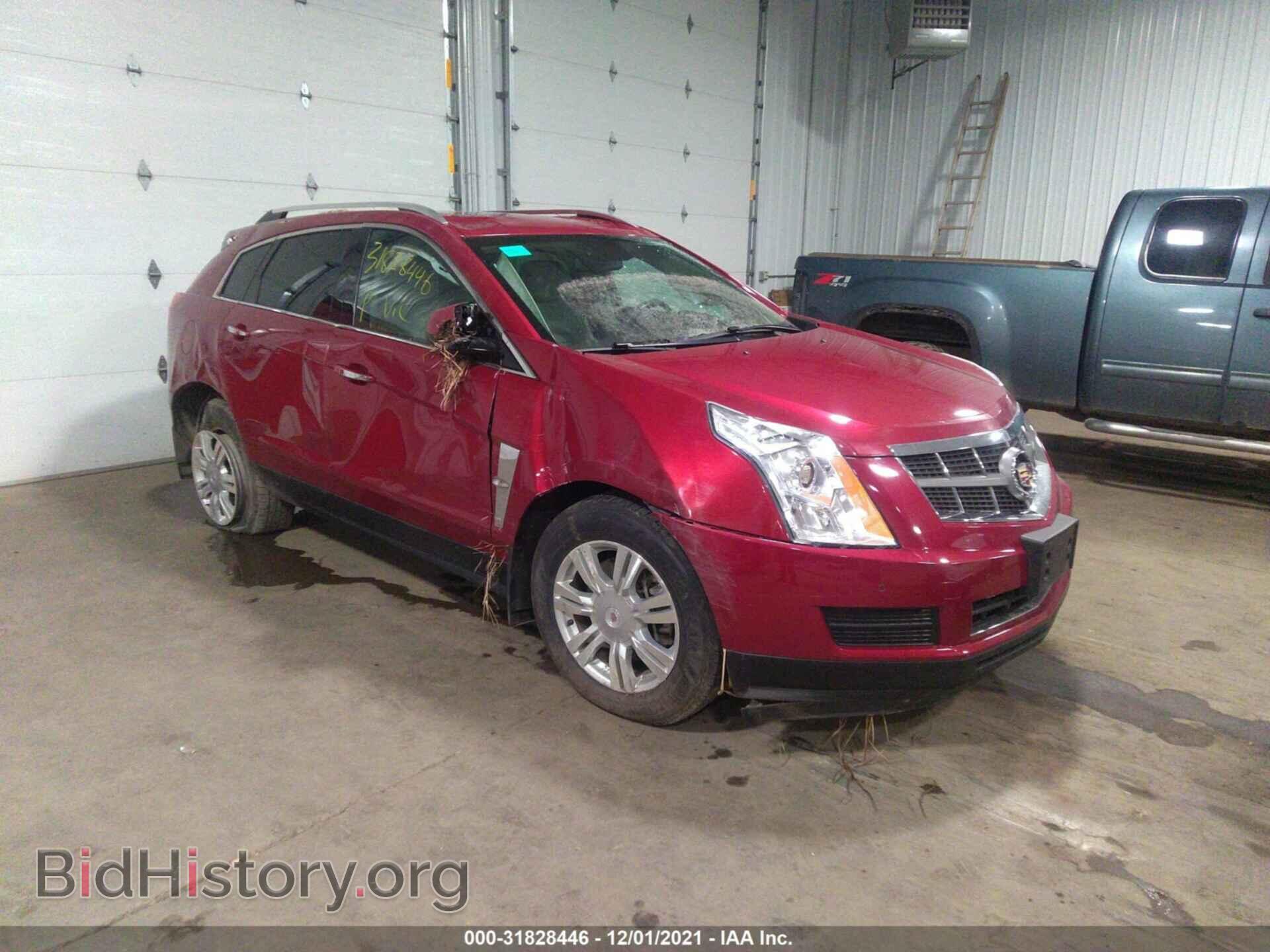 Фотография 3GYFNAE38CS516456 - CADILLAC SRX 2012