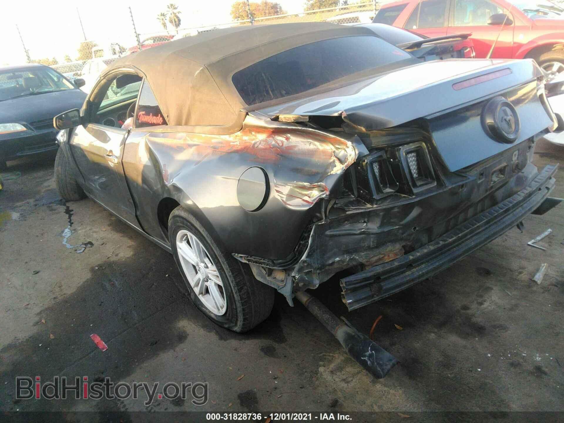 2014 FORD MUSTANG - VIN: 1ZVBP8EM2E5210637 - Фото 3