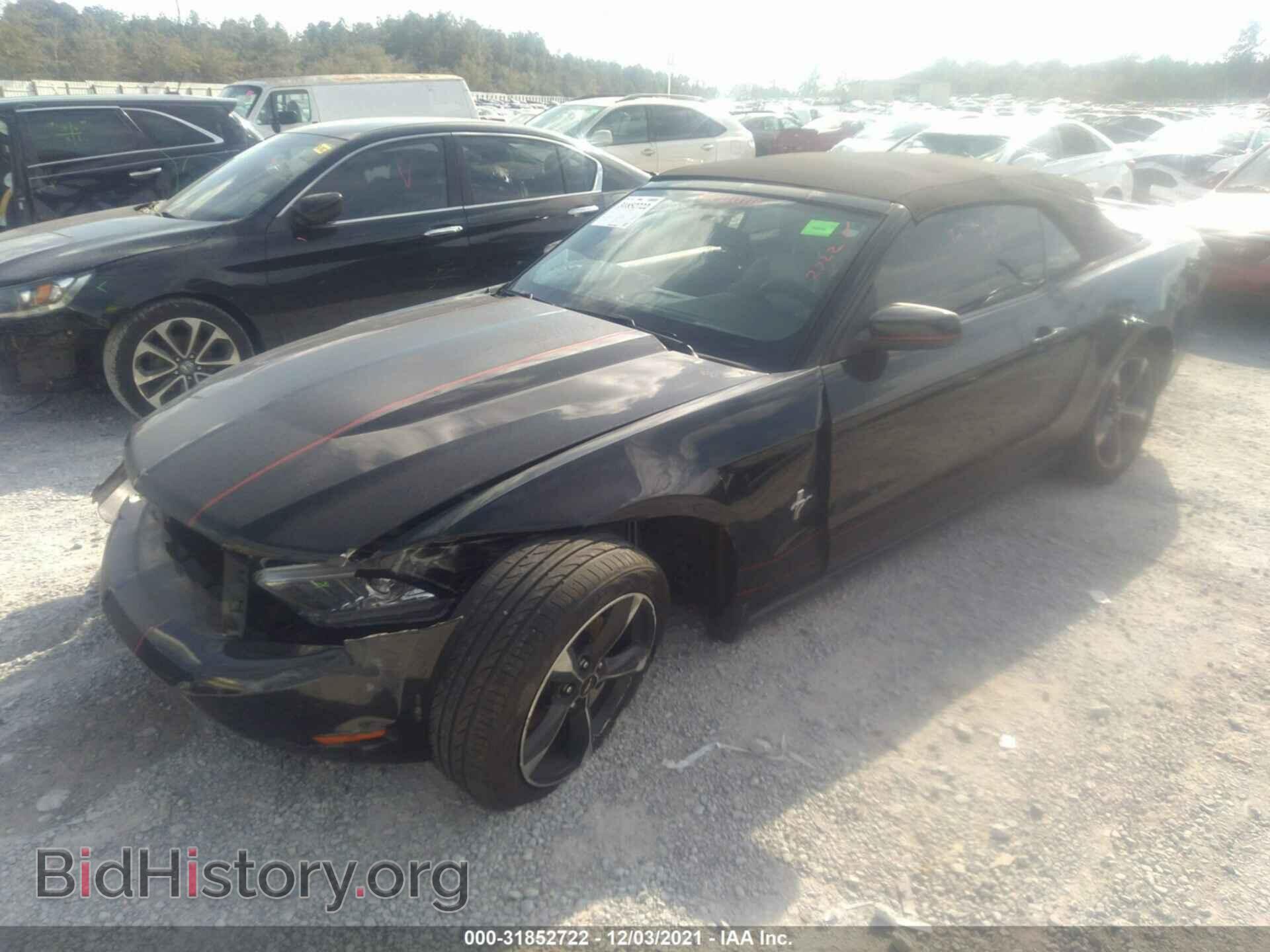 2011 FORD MUSTANG - VIN: 1ZVBP8EM2B5126684 - Фото 2