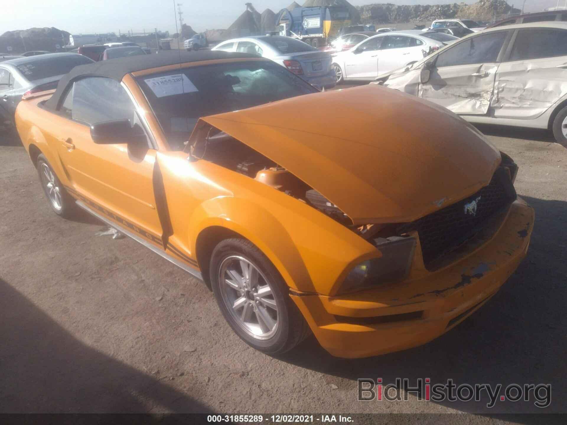 Photo 1ZVFT84N175273075 - FORD MUSTANG 2007