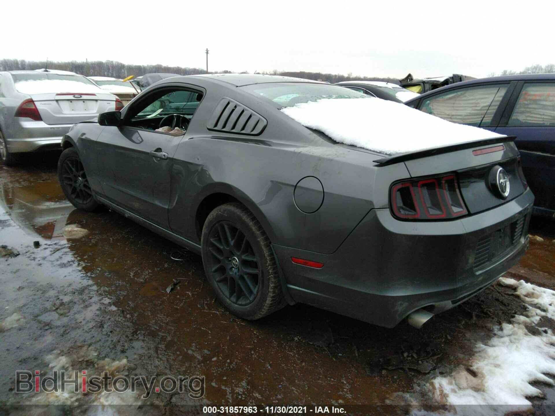 2014 FORD MUSTANG - VIN: 1ZVBP8AM9E5226257 - Фото 3