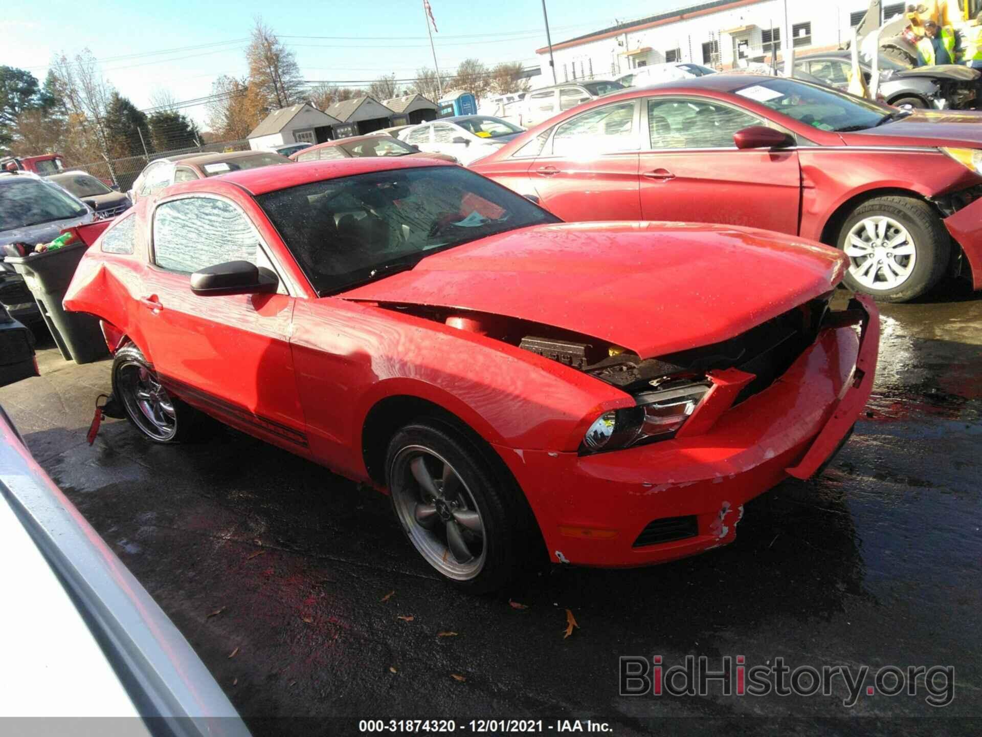 Photo 1ZVBP8AM3B5128742 - FORD MUSTANG 2011