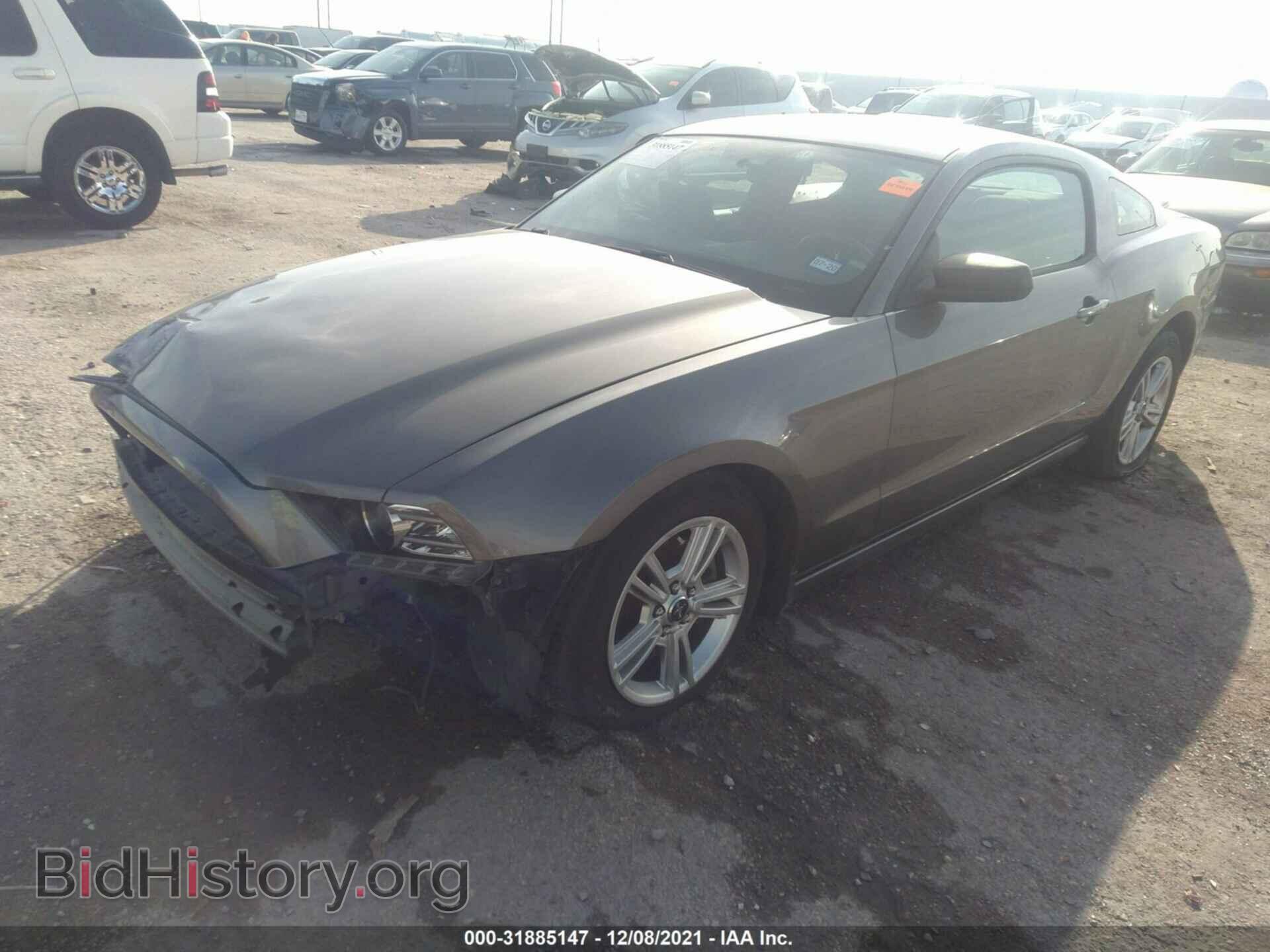 2014 FORD MUSTANG - VIN: 1ZVBP8AM1E5278143 - Фото 2