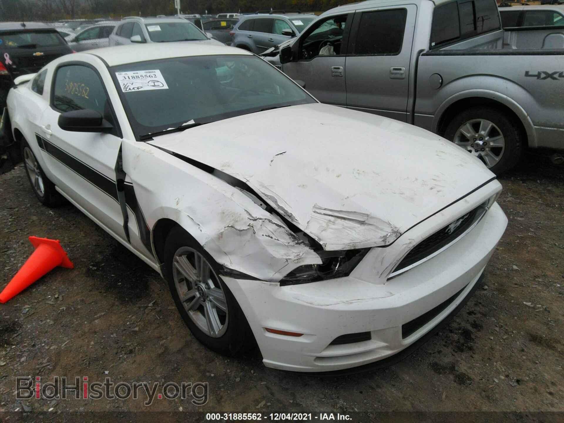 2013 FORD MUSTANG - VIN: 1ZVBP8AM4D5276000 - Фото 6