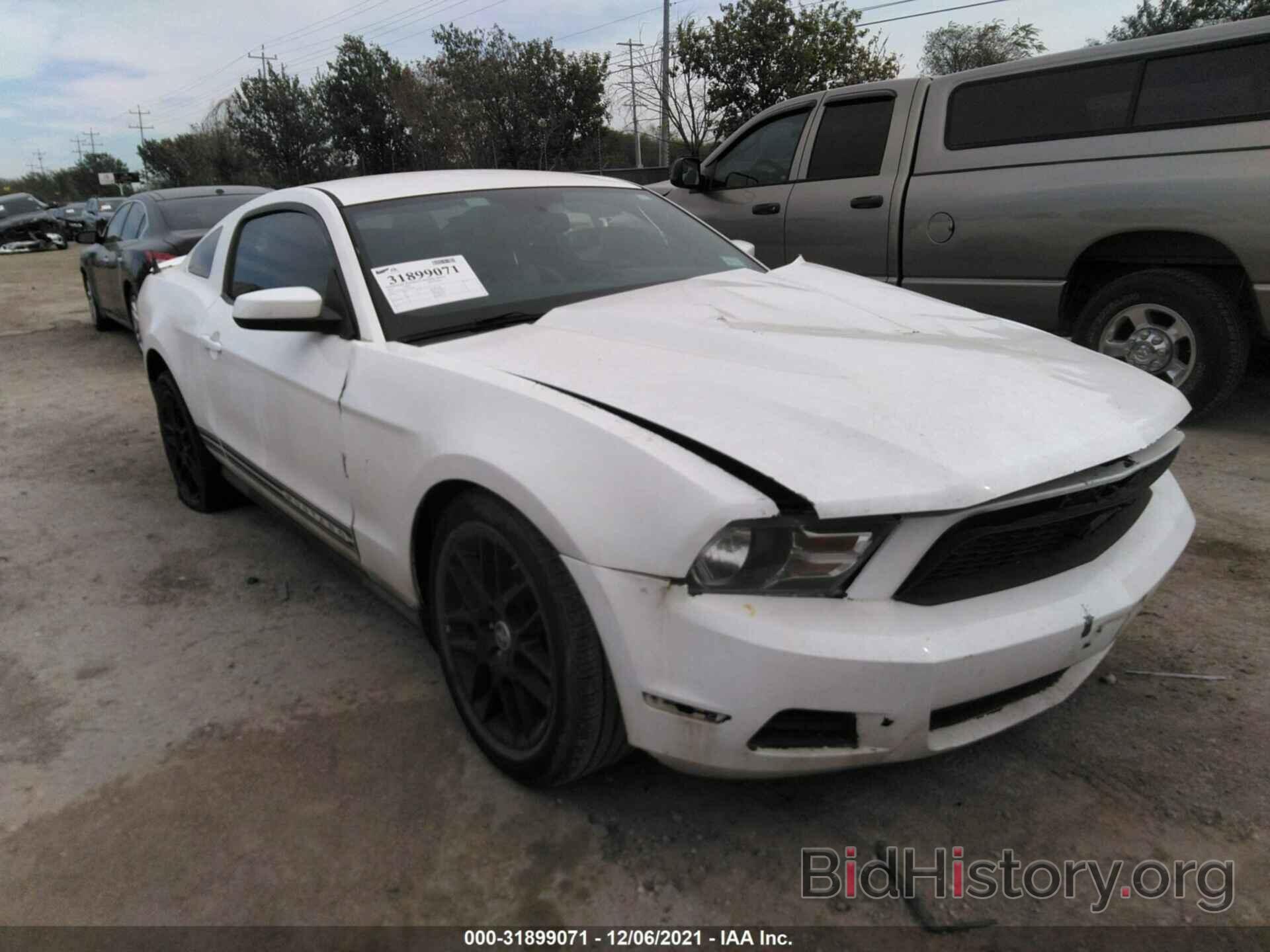 Photo 1ZVBP8AM4C5275640 - FORD MUSTANG 2012