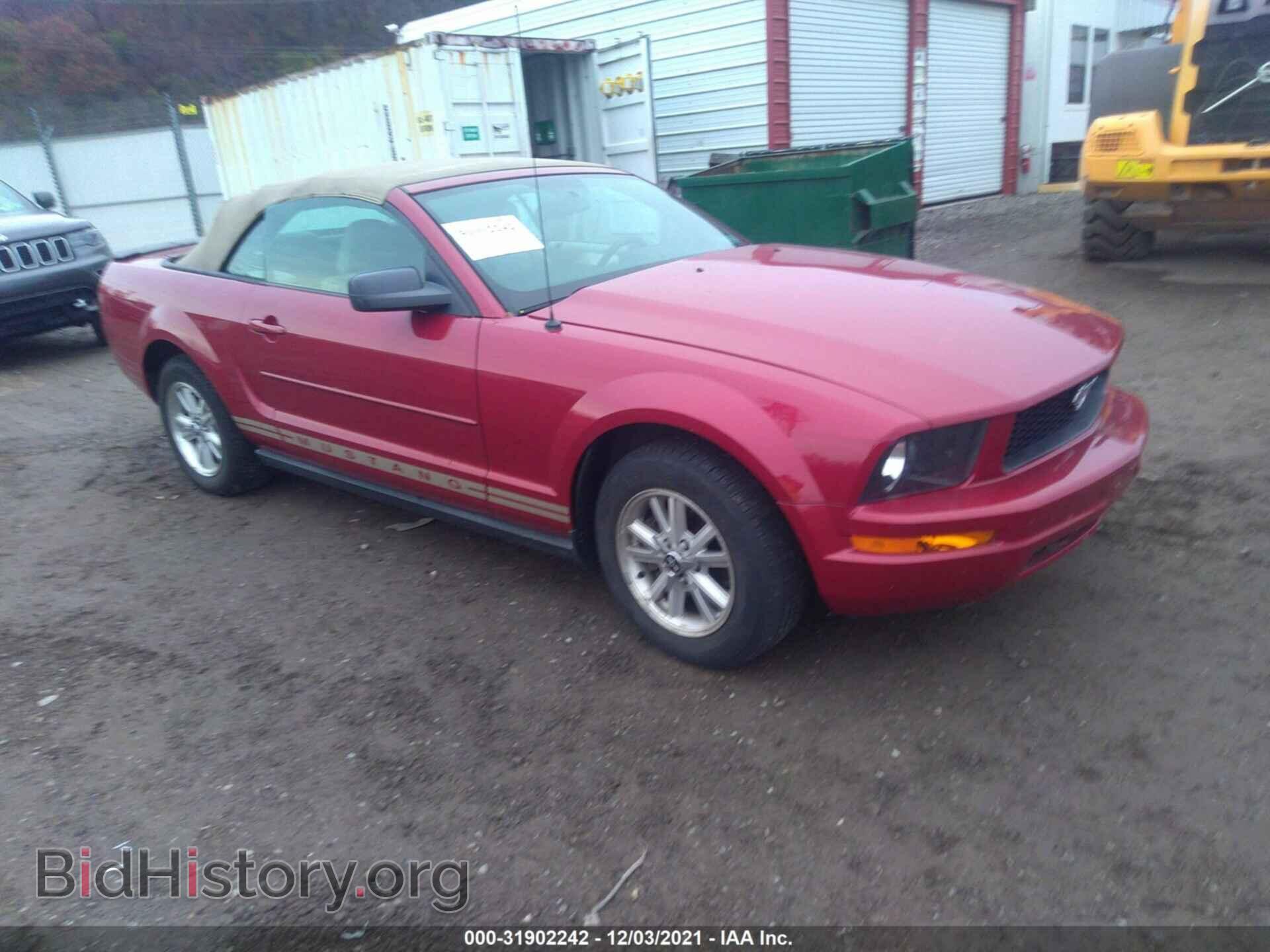 Photo 1ZVHT84N085201486 - FORD MUSTANG 2008