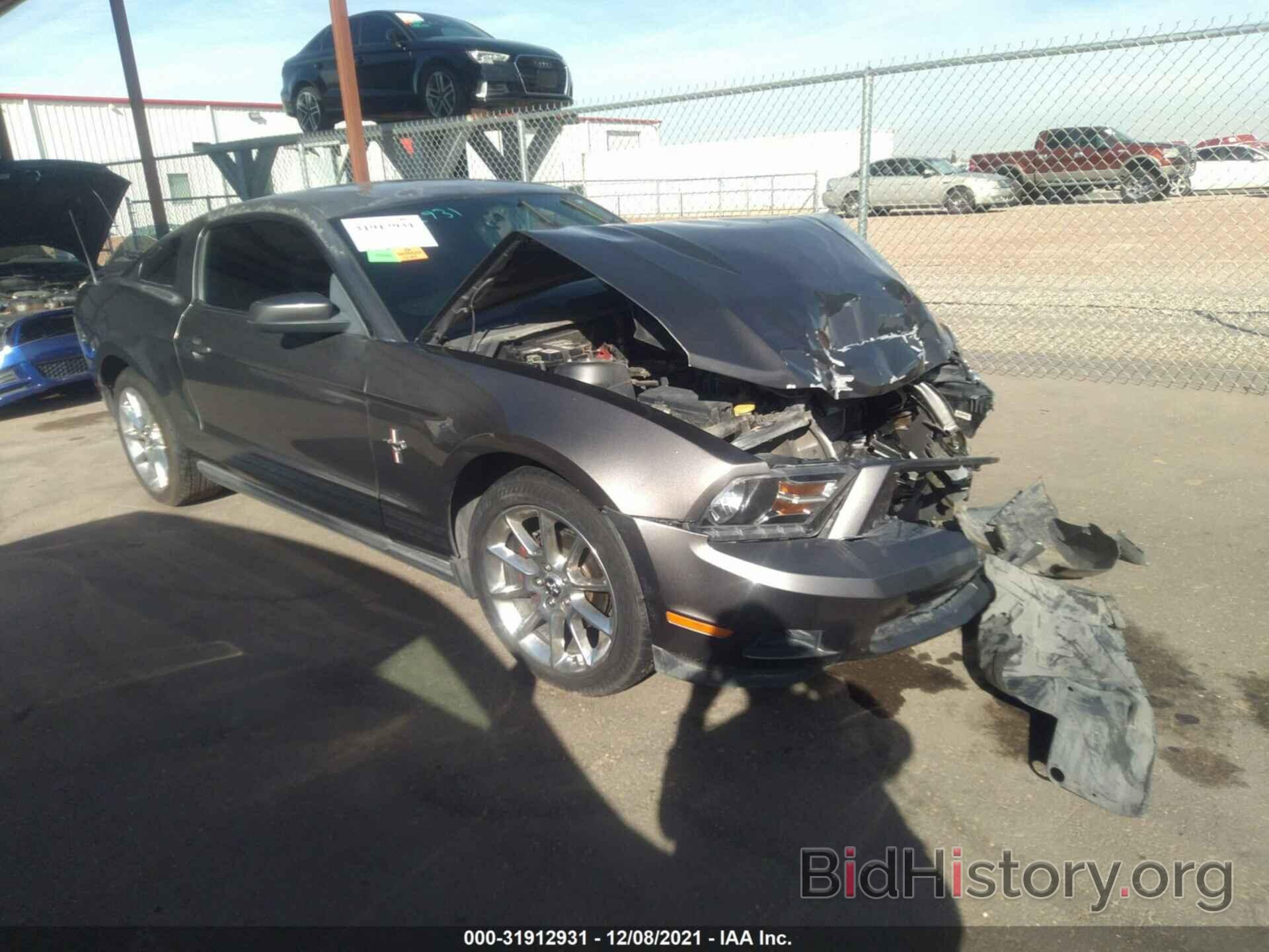 Photo 1ZVBP8AN9A5126534 - FORD MUSTANG 2010
