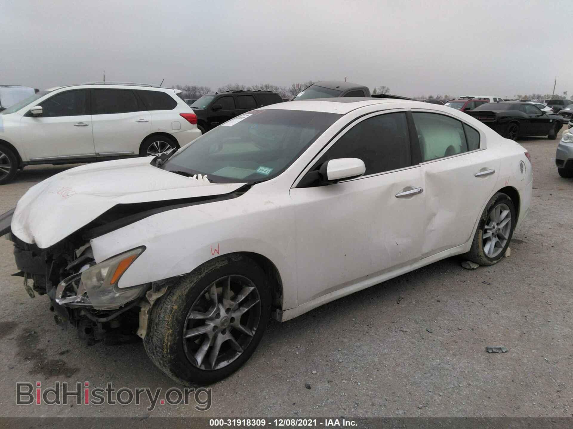 2009 NISSAN MAXIMA - VIN: 1N4AA51E39C839876 - Фото 2