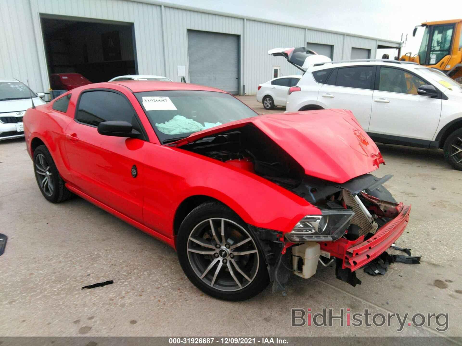 Photo 1ZVBP8AM3E5291525 - FORD MUSTANG 2014