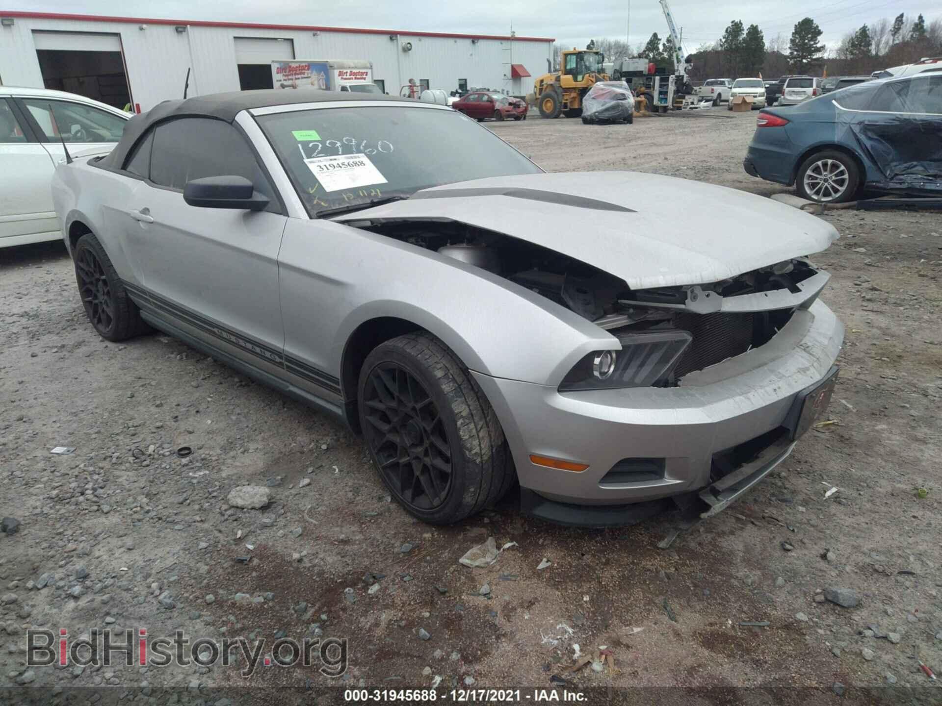 Фотография 1ZVBP8EM7B5120539 - FORD MUSTANG 2011