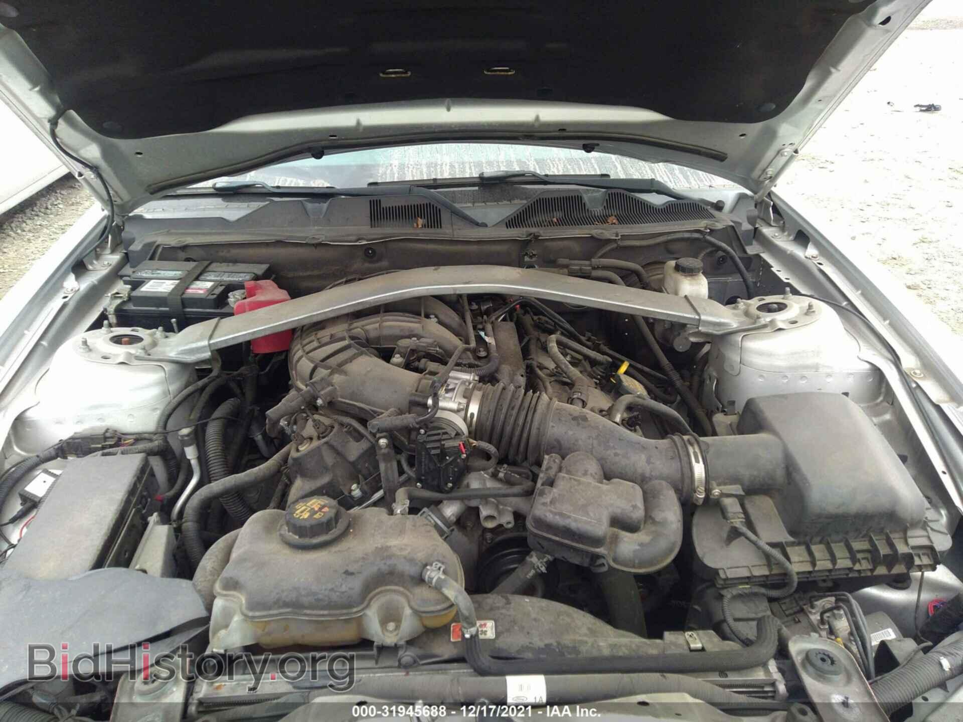 2011 FORD MUSTANG - VIN: 1ZVBP8EM7B5120539 - Фото 10
