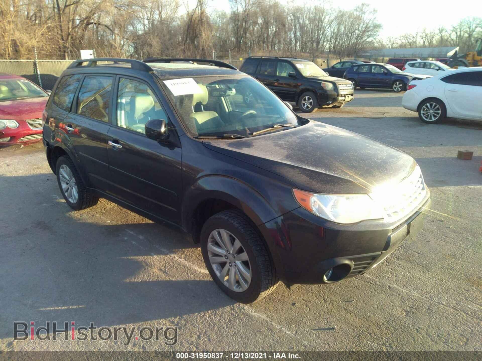 Photo JF2SHAEC3BH756437 - SUBARU FORESTER 2011