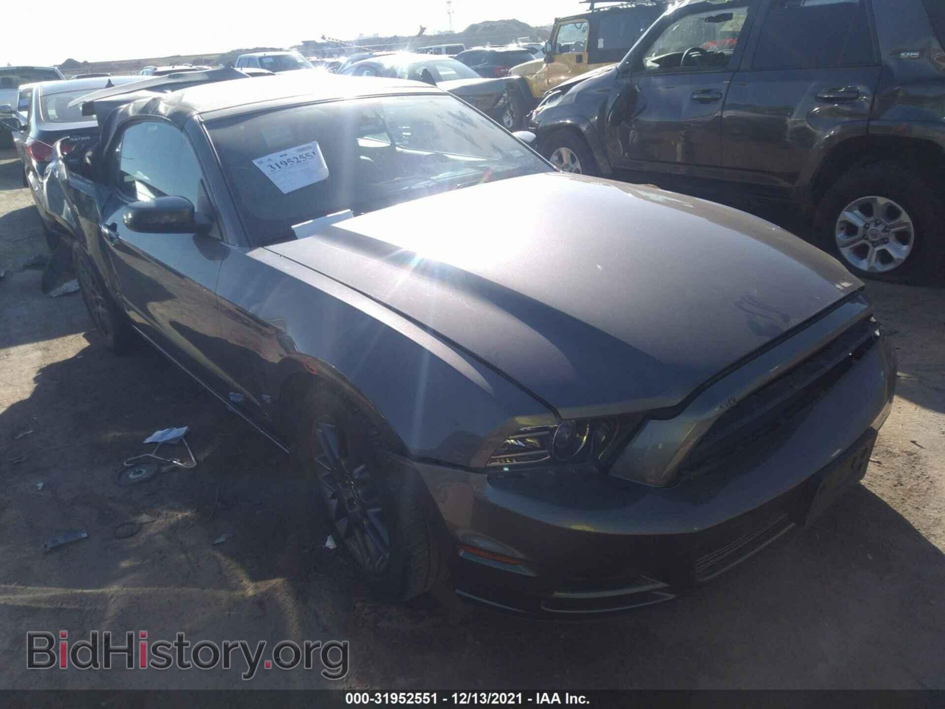 Фотография 1ZVBP8EMXD5246591 - FORD MUSTANG 2013