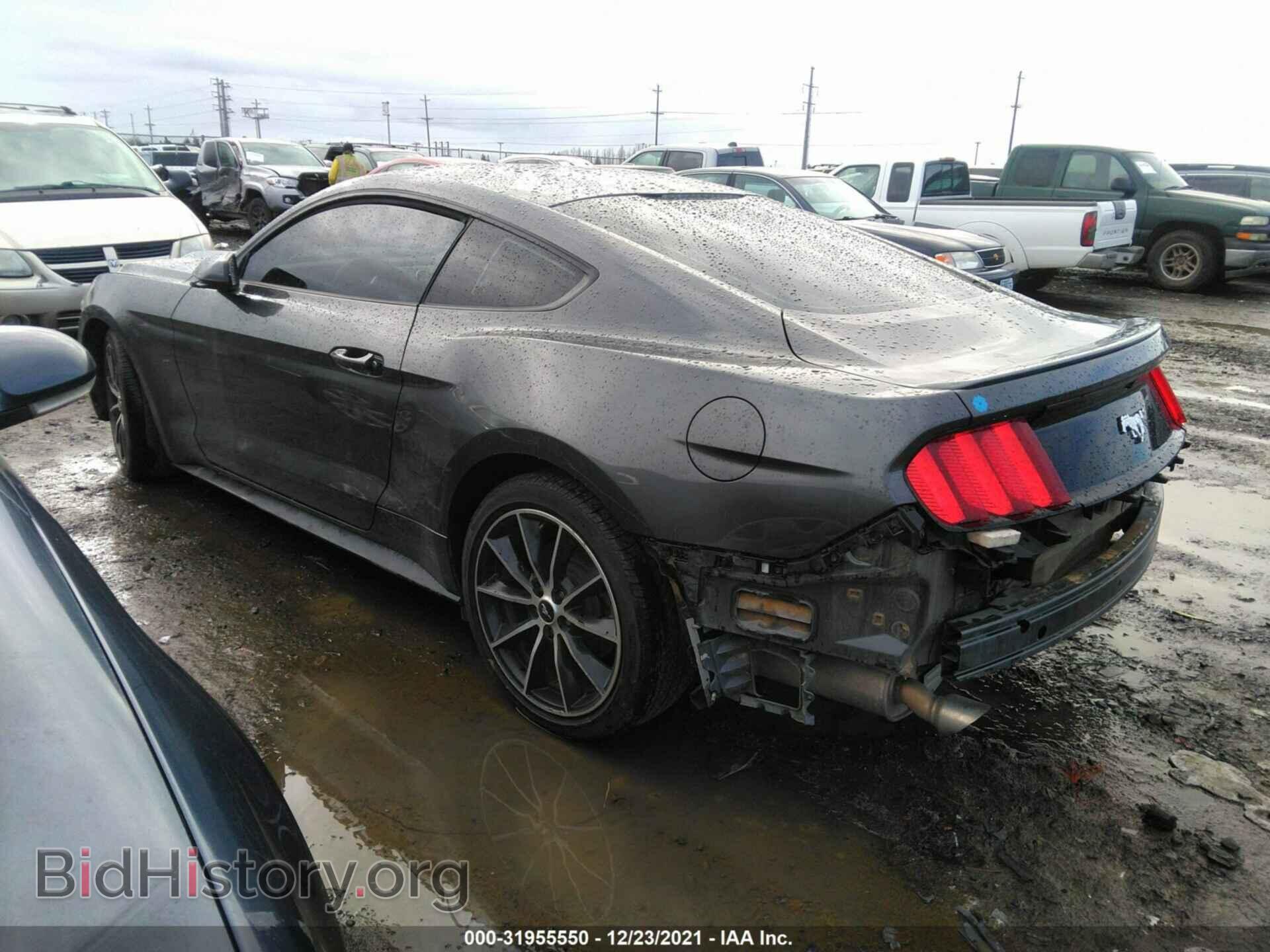 2015 FORD MUSTANG - VIN: 1FA6P8TH4F5351775 - Фото 3