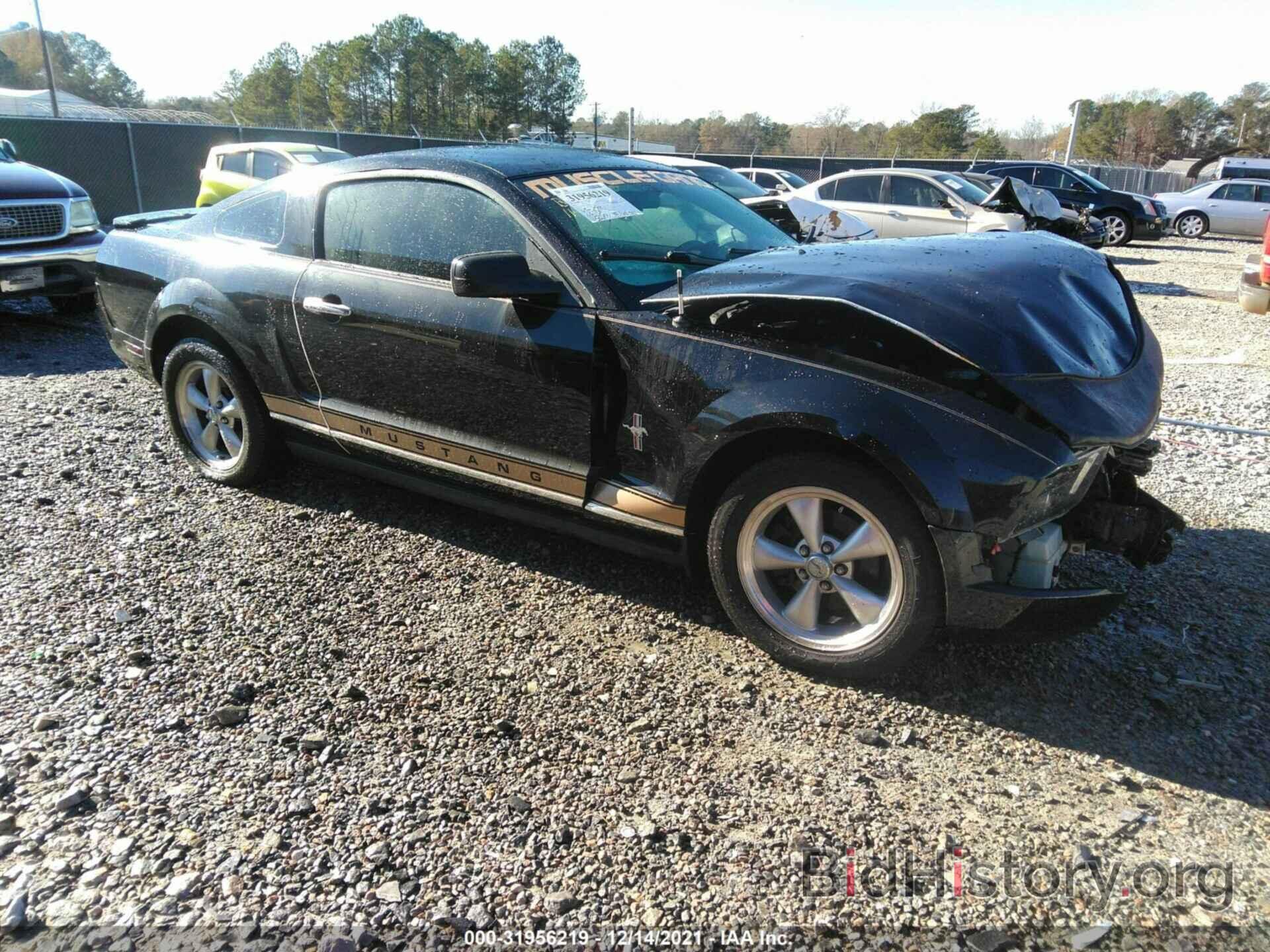 Photo 1ZVHT80N385189842 - FORD MUSTANG 2008